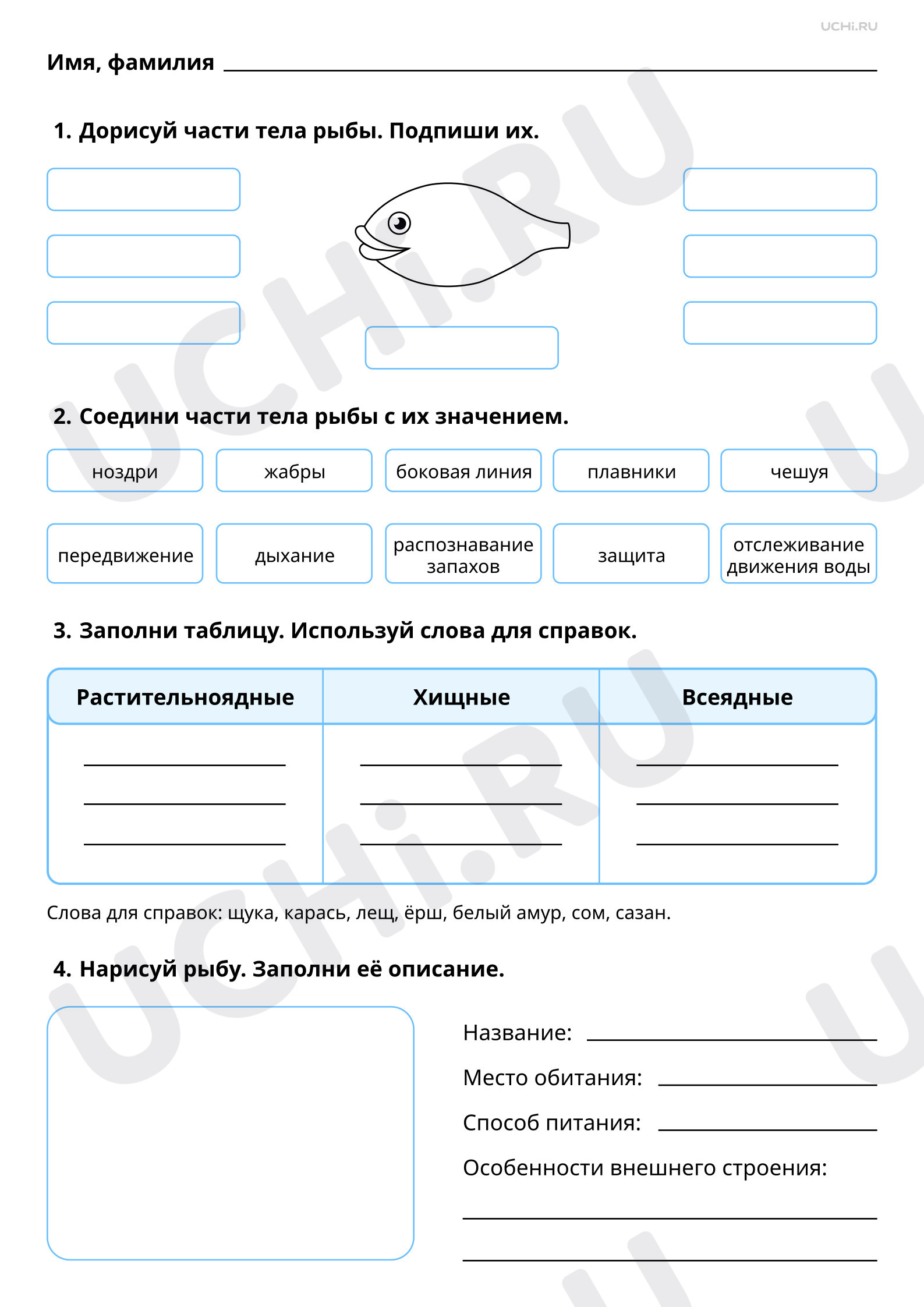 Предпросмотр материала Мир животных: рыбы. Повышенный уровень