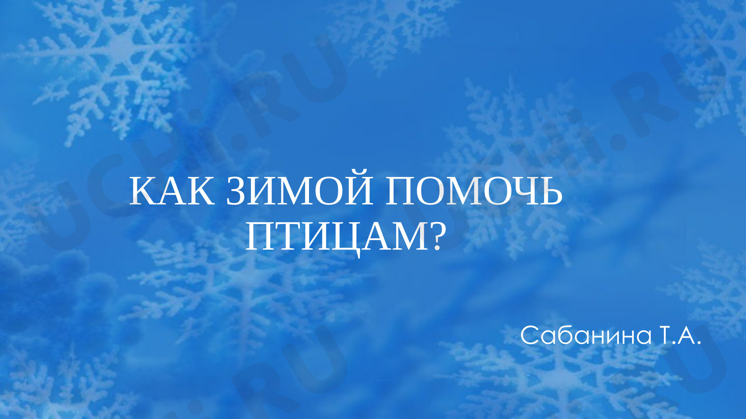 Предпросмотр материала Презентация. Классный час. Зимующие птицы Архангельской области.