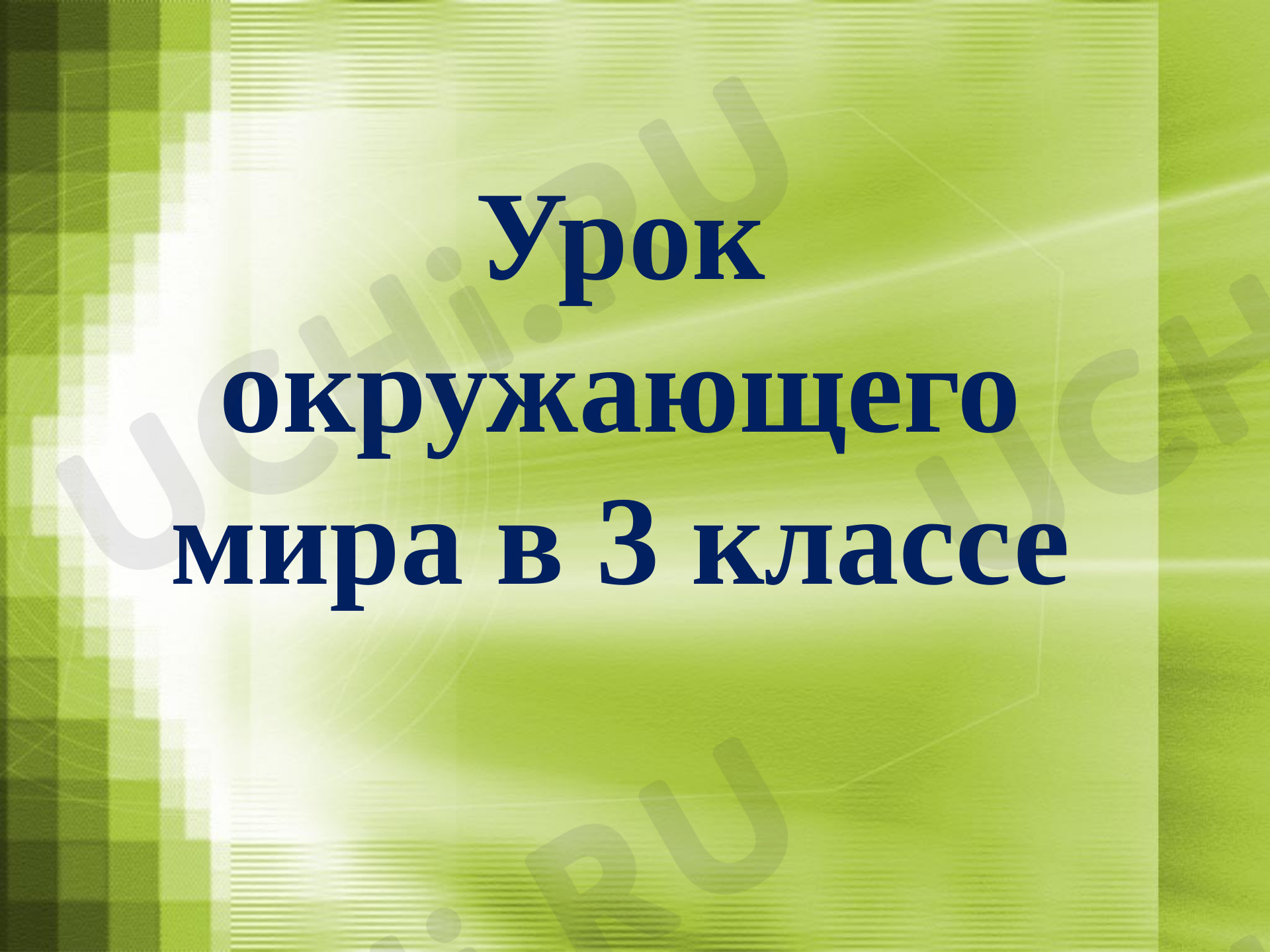 Предпросмотр материала Размножение и развитие животных