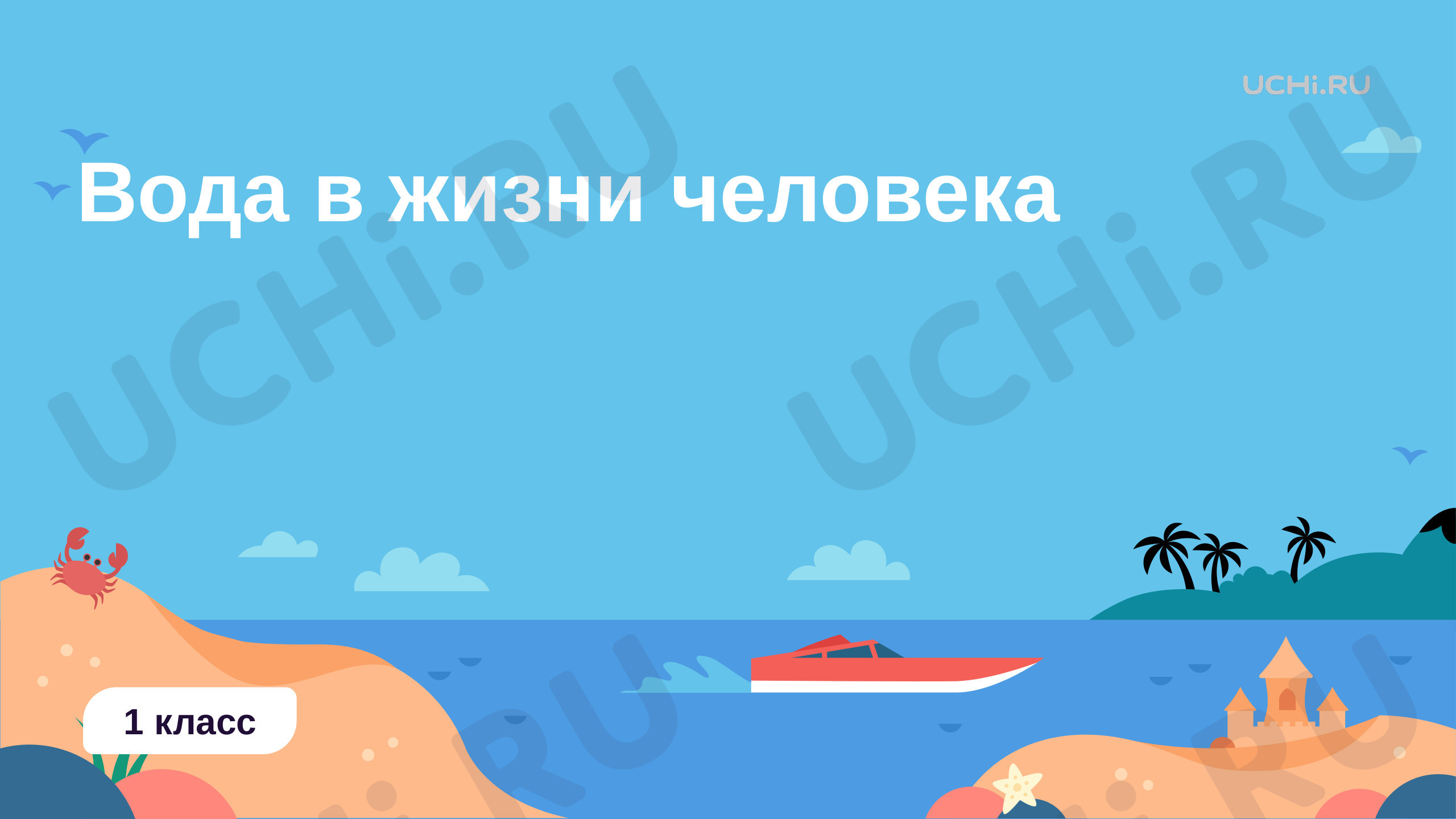 Предпросмотр материала Вода в жизни человека