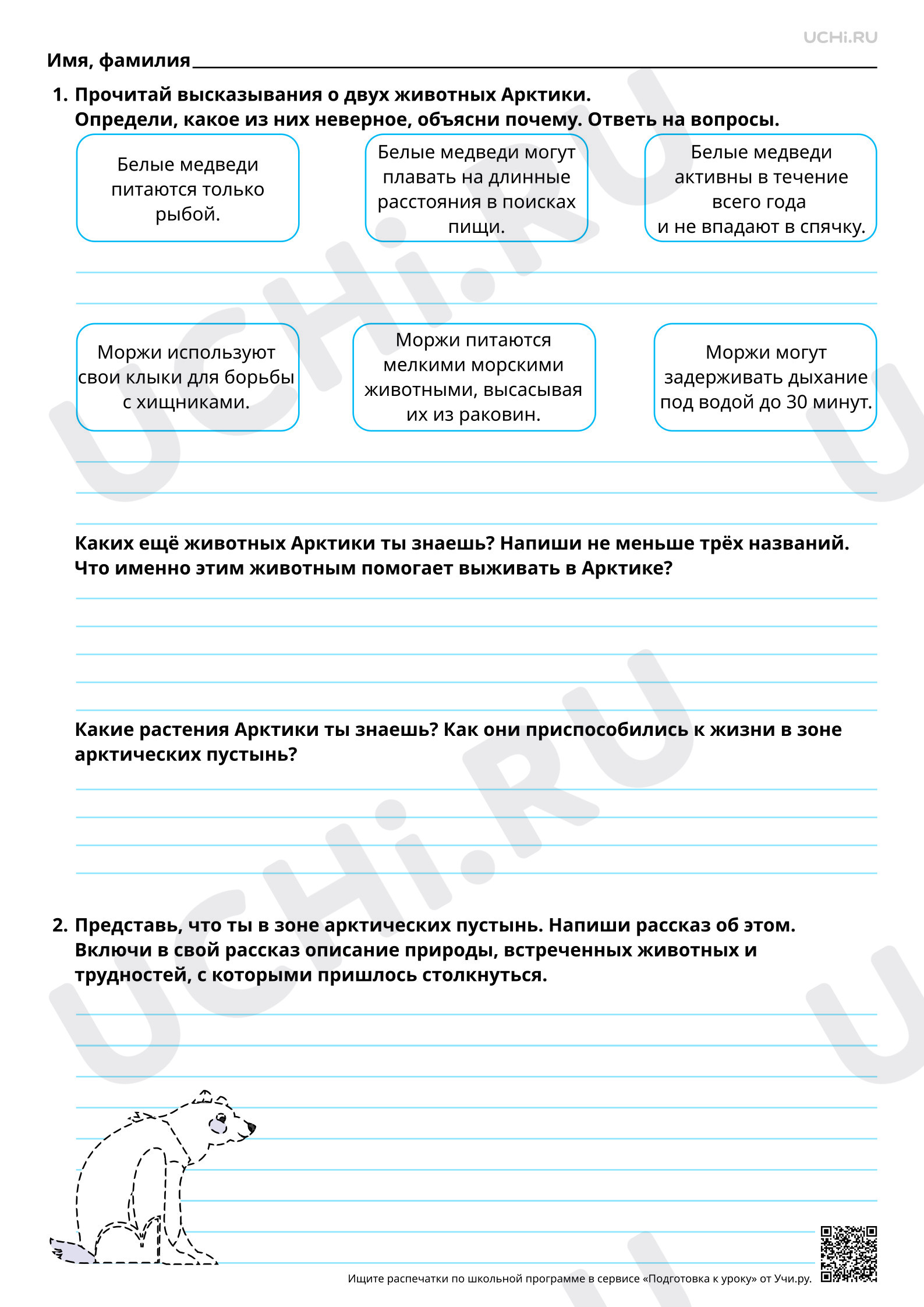 Предпросмотр материала Характеристика природных зон России: арктическая пустыня. Связи в природной зоне. Повышенный уровень