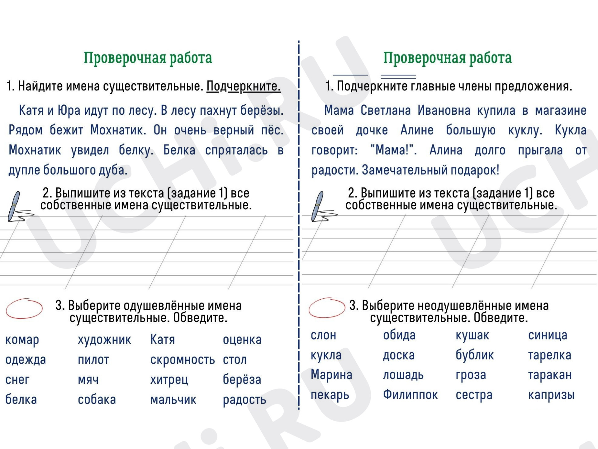 Предпросмотр материала Проверочная работа к уроку русского языка. Имена существительные.