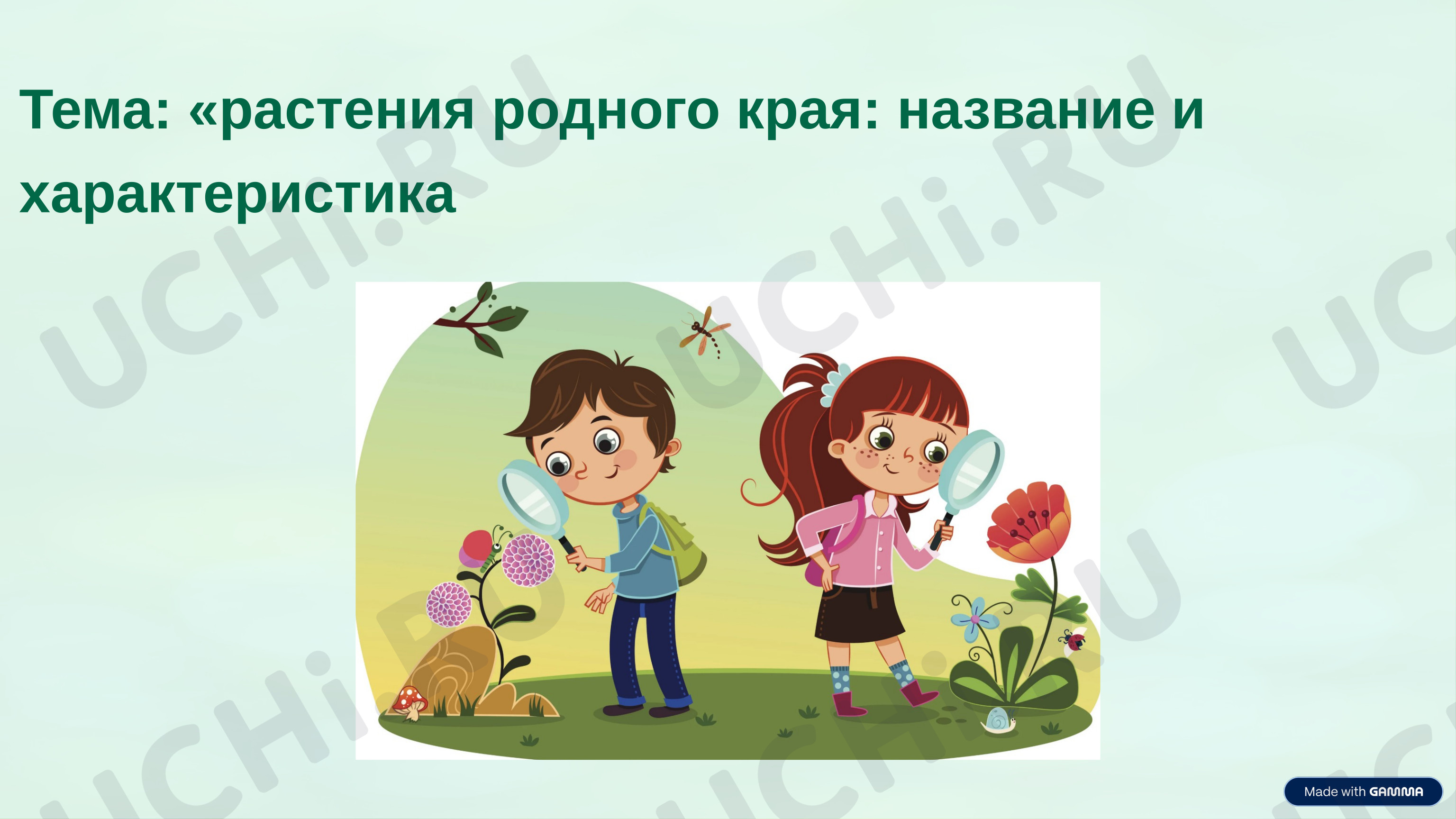 Предпросмотр материала Презентация к уроку окружающего мира. «Растения родного края: названия и краткая характеристика.»