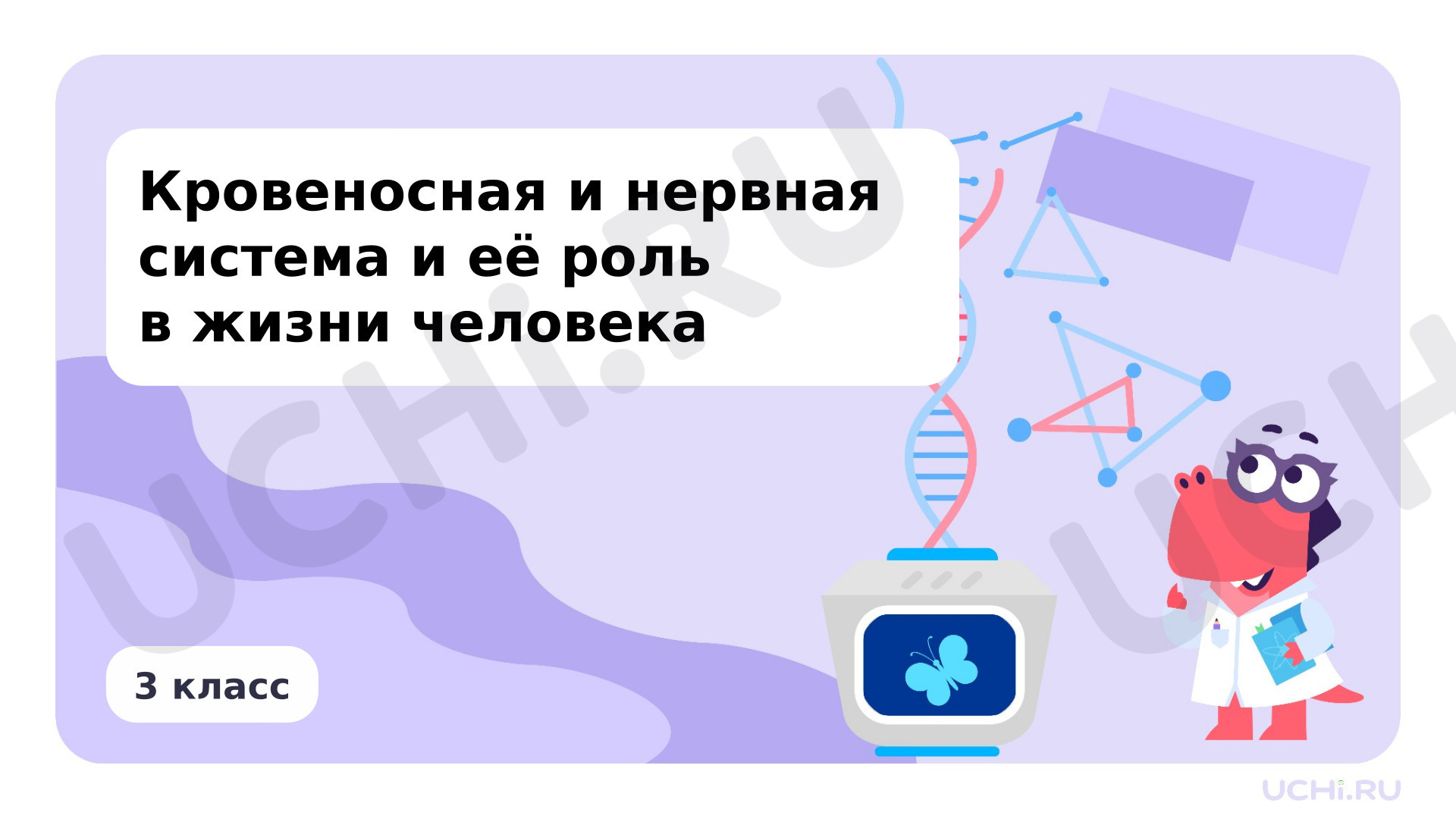 Предпросмотр материала Кровеносная и нервная система и их роль в жизни человека