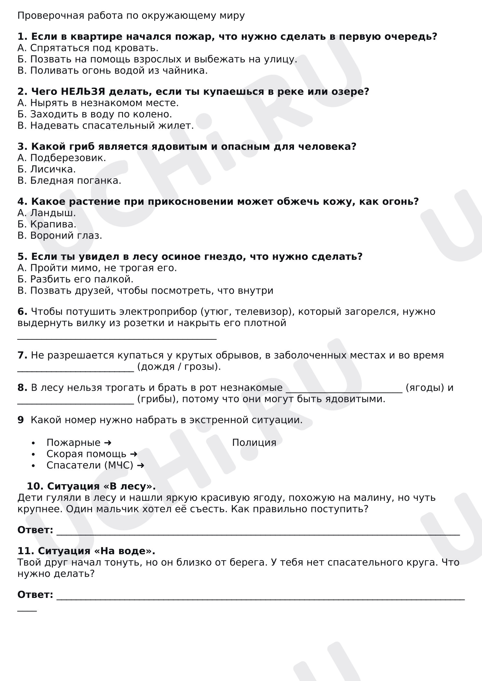 Предпросмотр материала Проверочная работа к уроку окружающего мира.