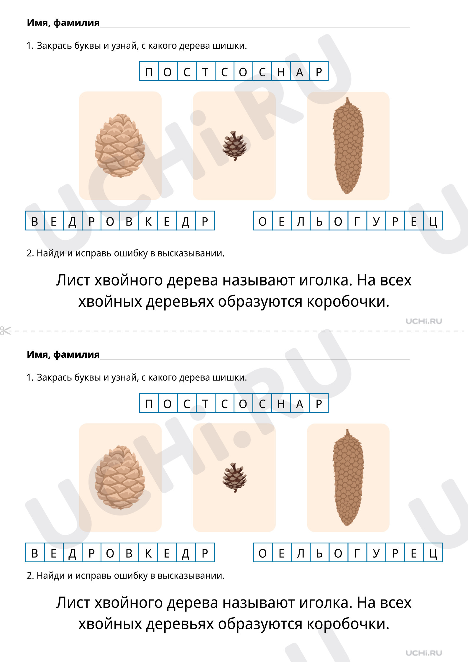 Предпросмотр материала Что такое хвоинки? Повышенный уровень