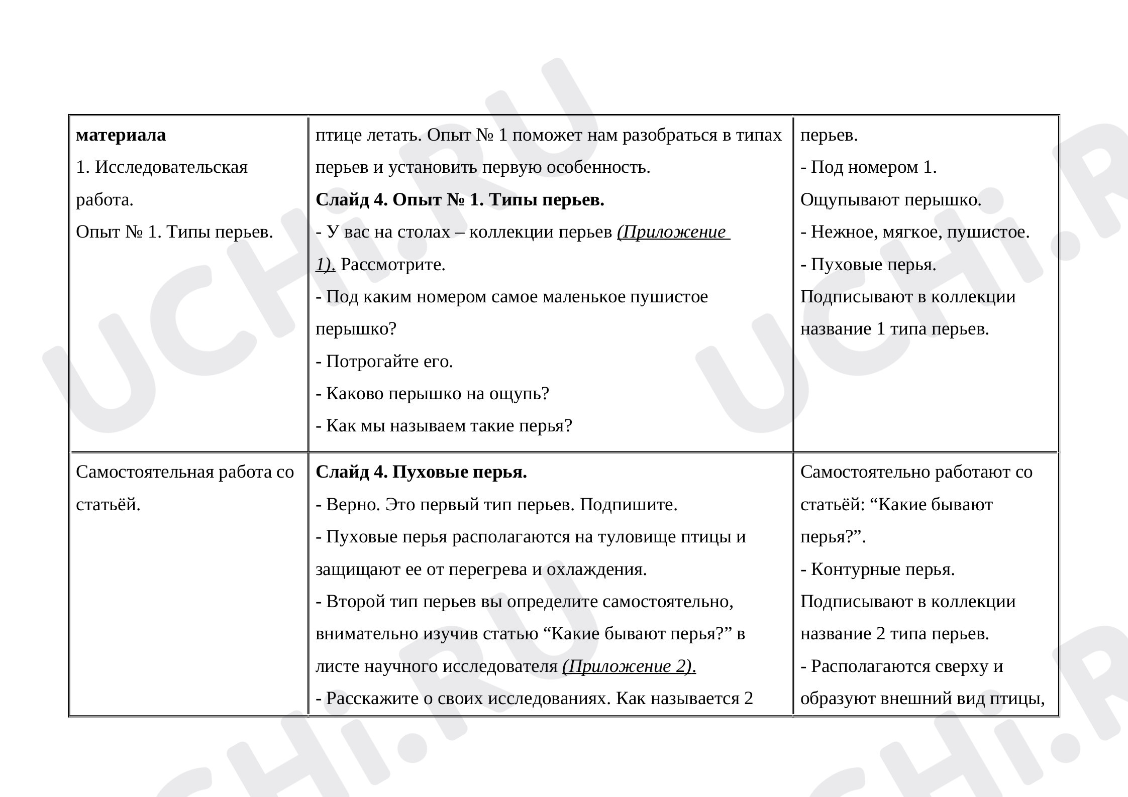 Мир животных: птицы (узнавание, называние). Главная особенность этой группы  животных.: Мир животных: птицы (узнавание, называние). Главная особенность  этой группы животных | Учи.ру