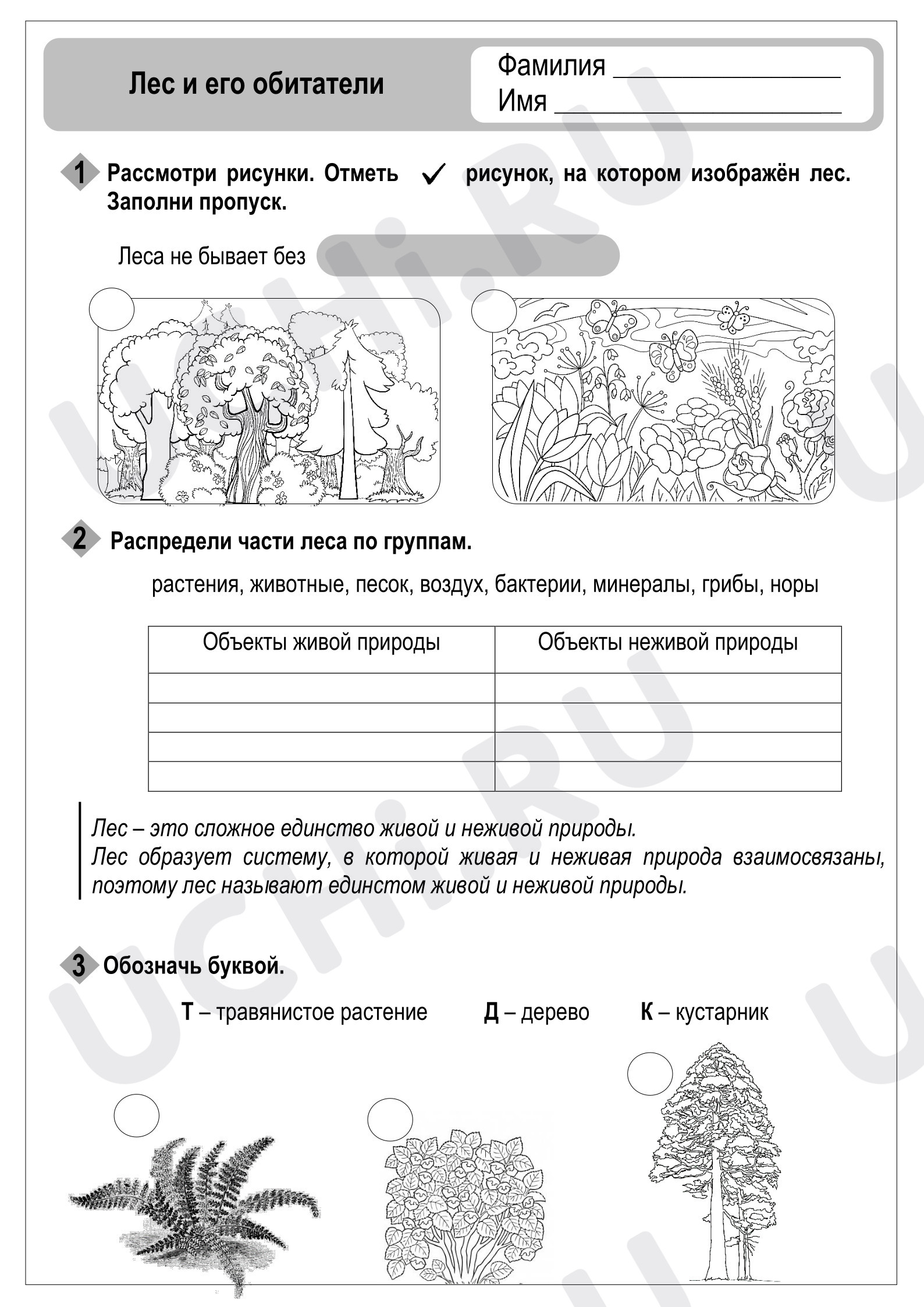 Предпросмотр материала Лес и его обитатели