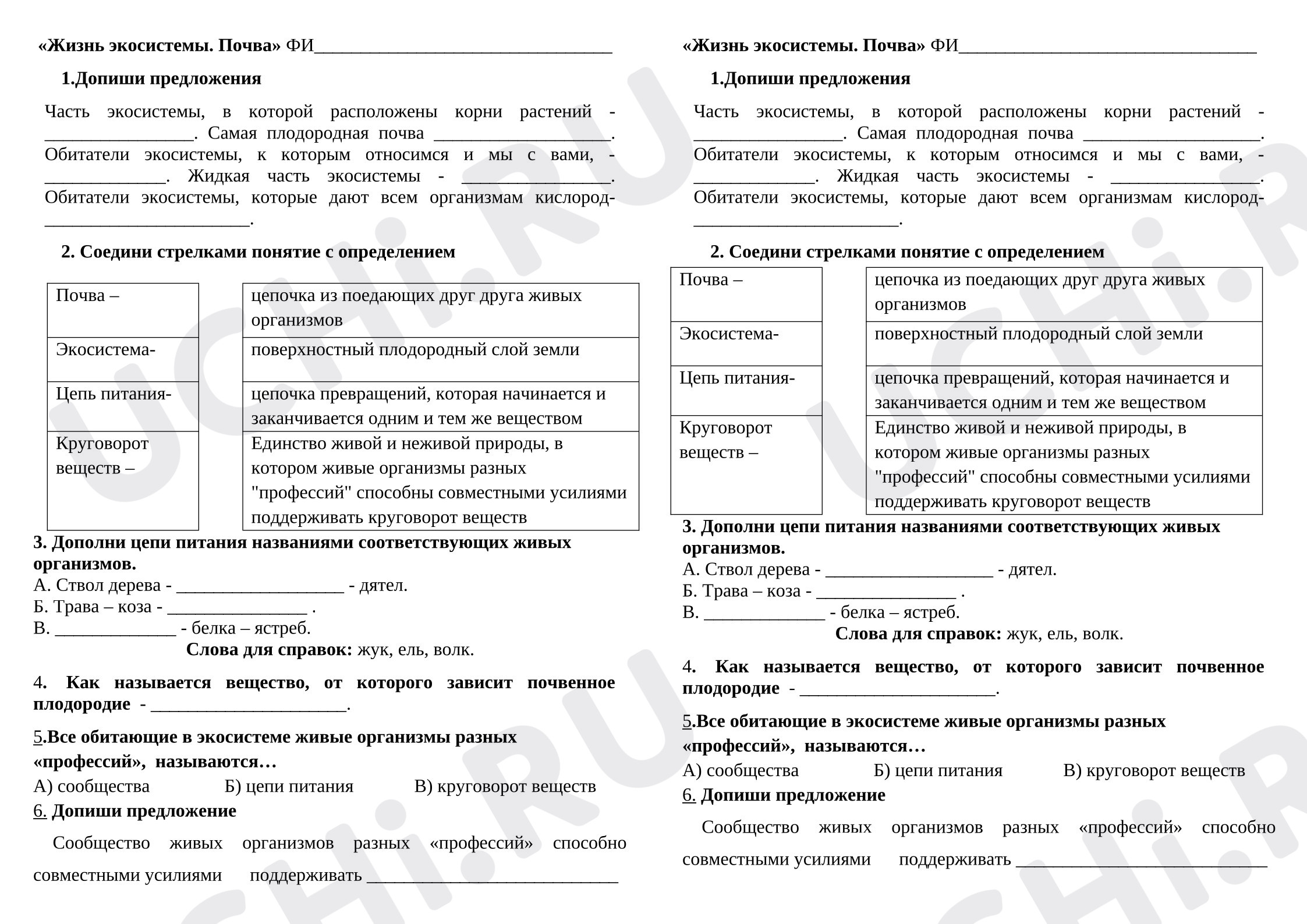 Предпросмотр материала Экосистемы. Почва