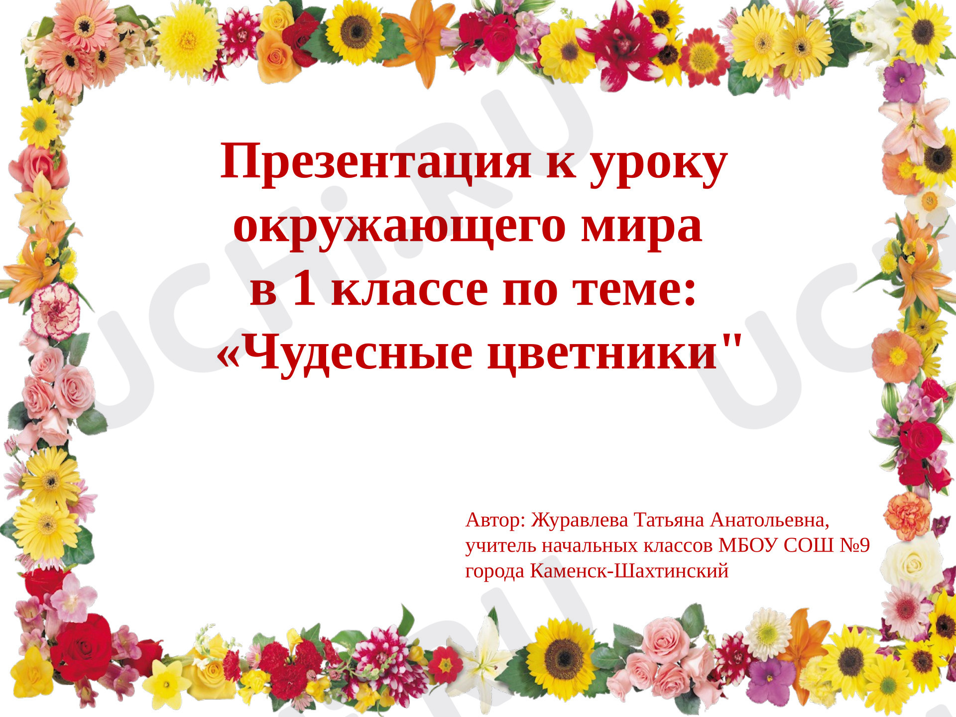 Предпросмотр материала Презентация к уроку окружающего мира в 1 классе по теме «Чудесные цветники»