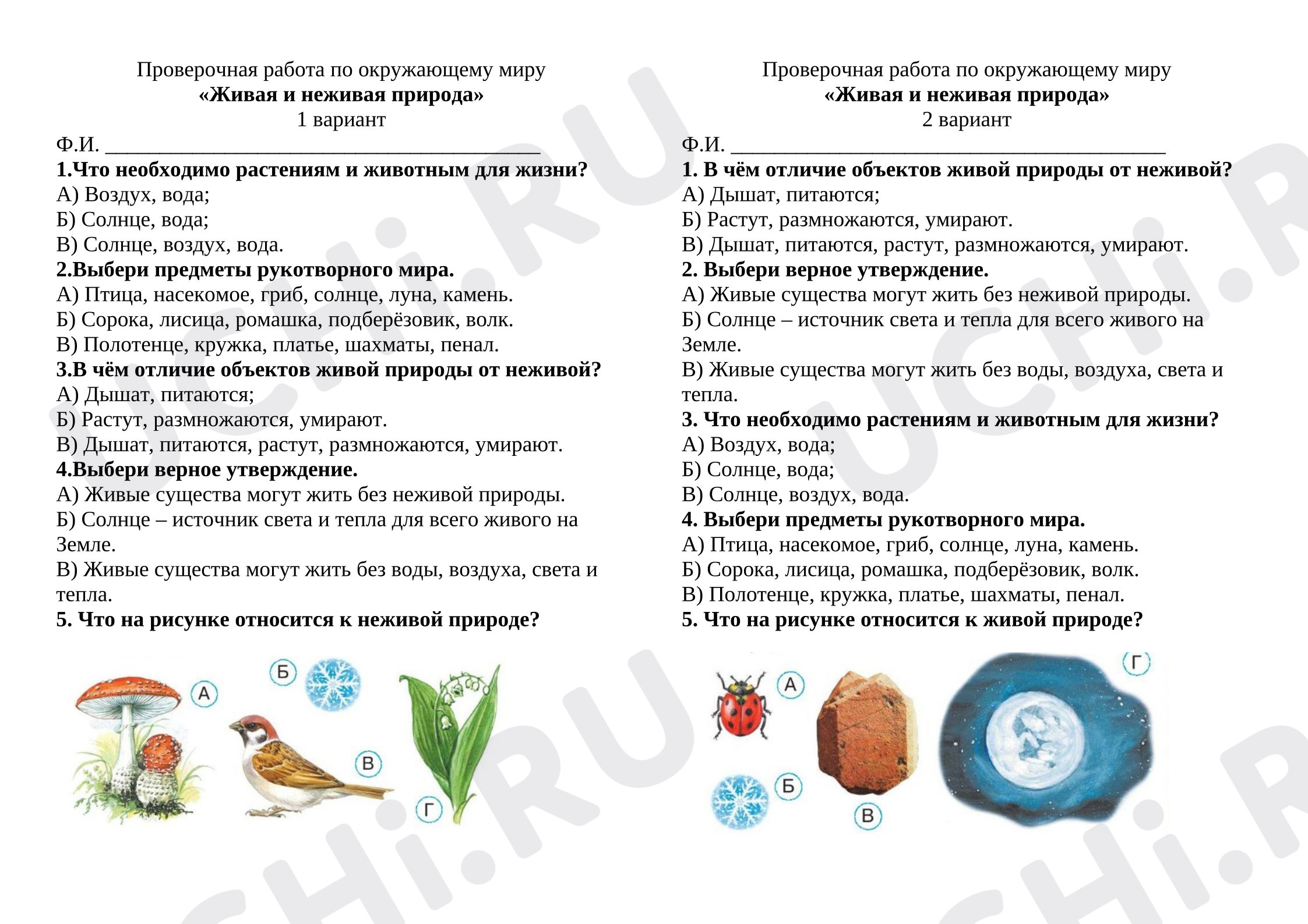 Предпросмотр материала Тест к уроку окружающего мира. Живая и неживая природа.