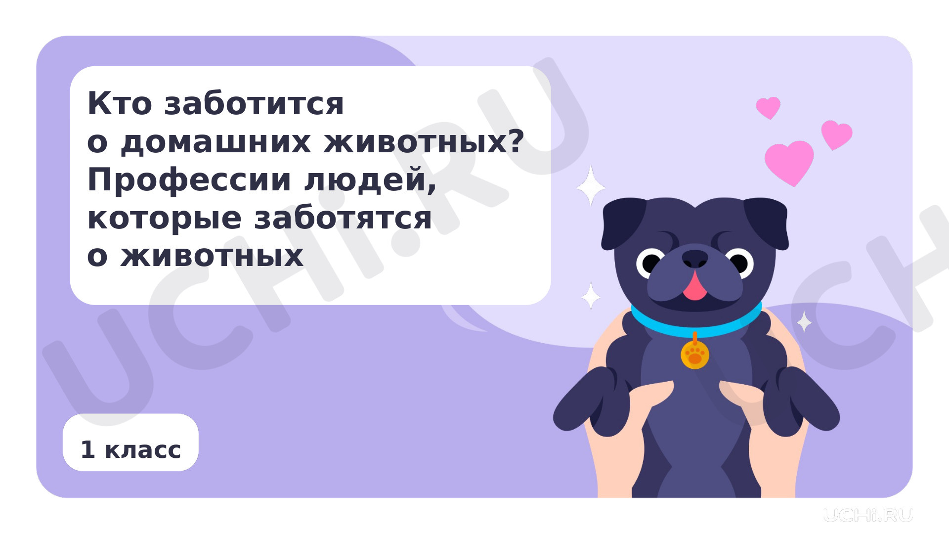 Кто заботится о домашних животных? Профессии людей, которые заботятся о  животных: Кто заботится о домашних животных. Профессии людей, которые  заботятся о животных. Мои домашние питомцы | Учи.ру