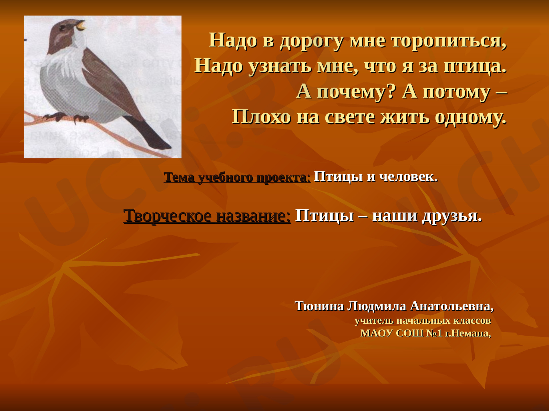 Предпросмотр материала Птицы - наши друзья