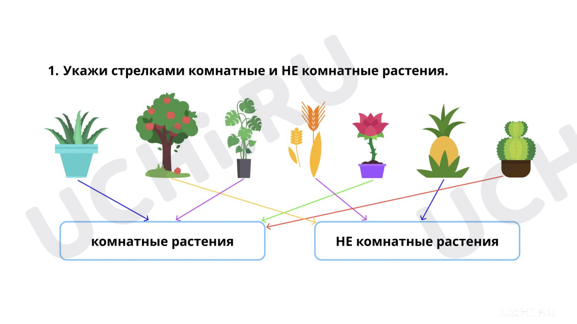 Окружающий мир для 1 четверти 1 класса. ЭОР | Подготовка к уроку от Учи.ру