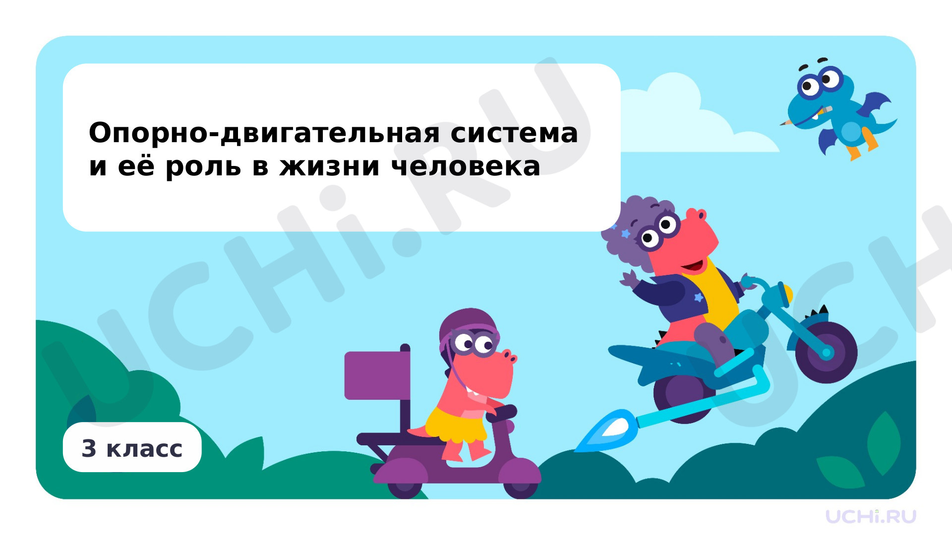 Предпросмотр материала Опорно-двигательная система и её роль в жизни человека