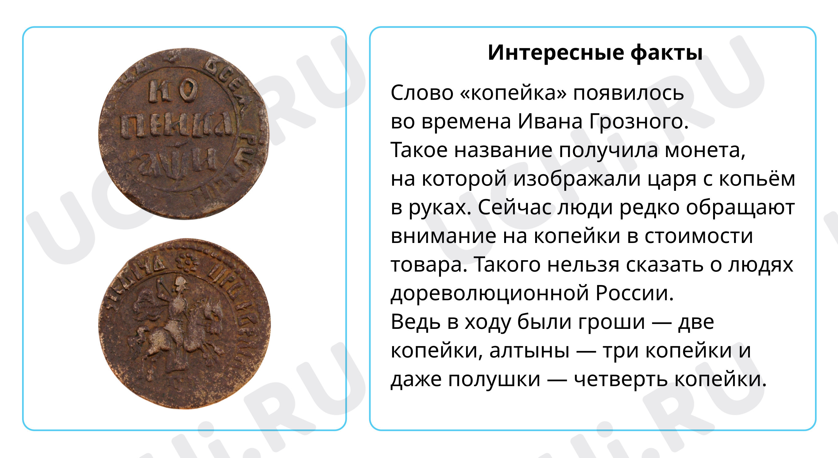 Предпросмотр материала Интересные факты