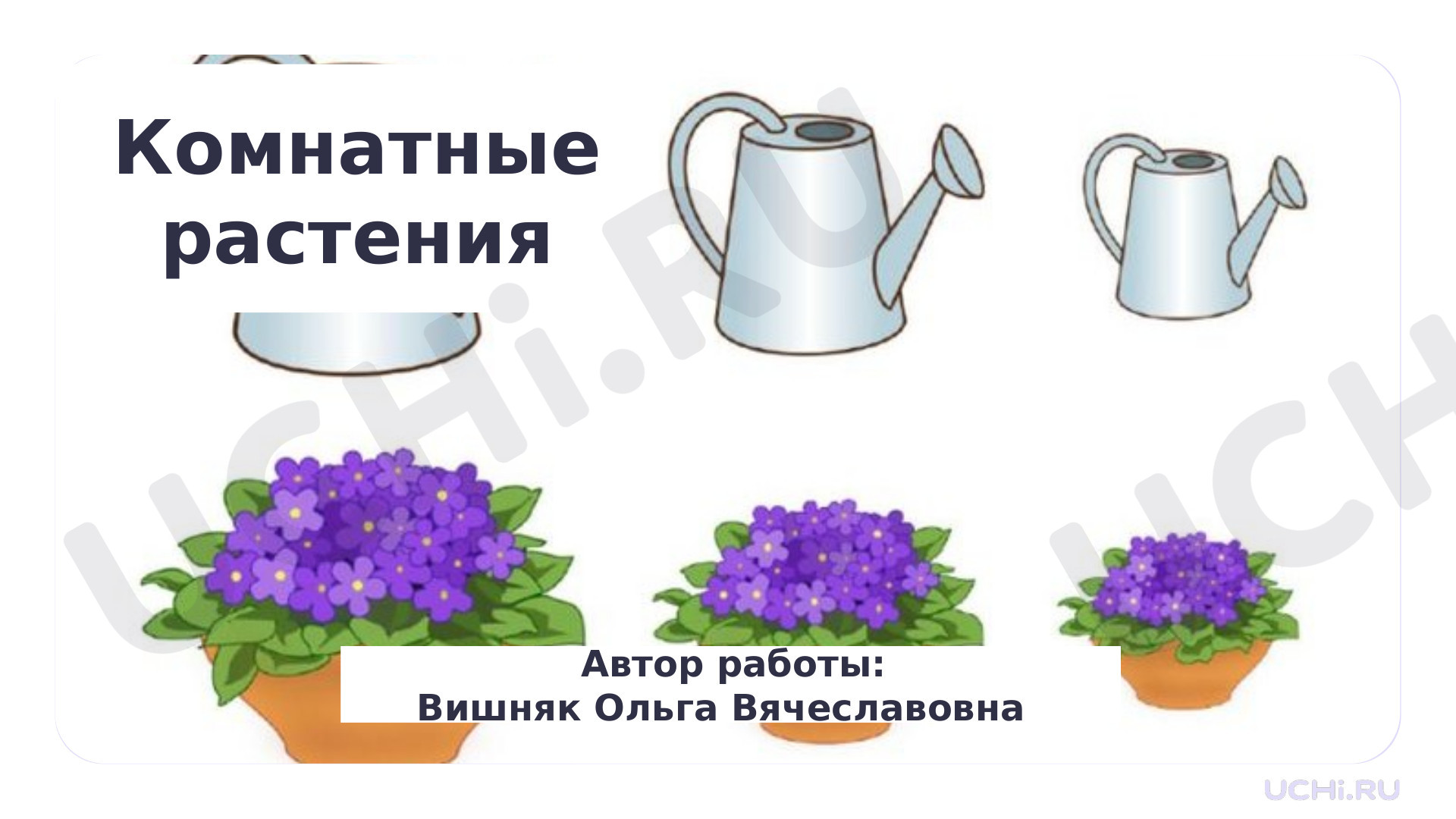 Предпросмотр материала Презентация к уроку окружающего мира. Комнатные растения.