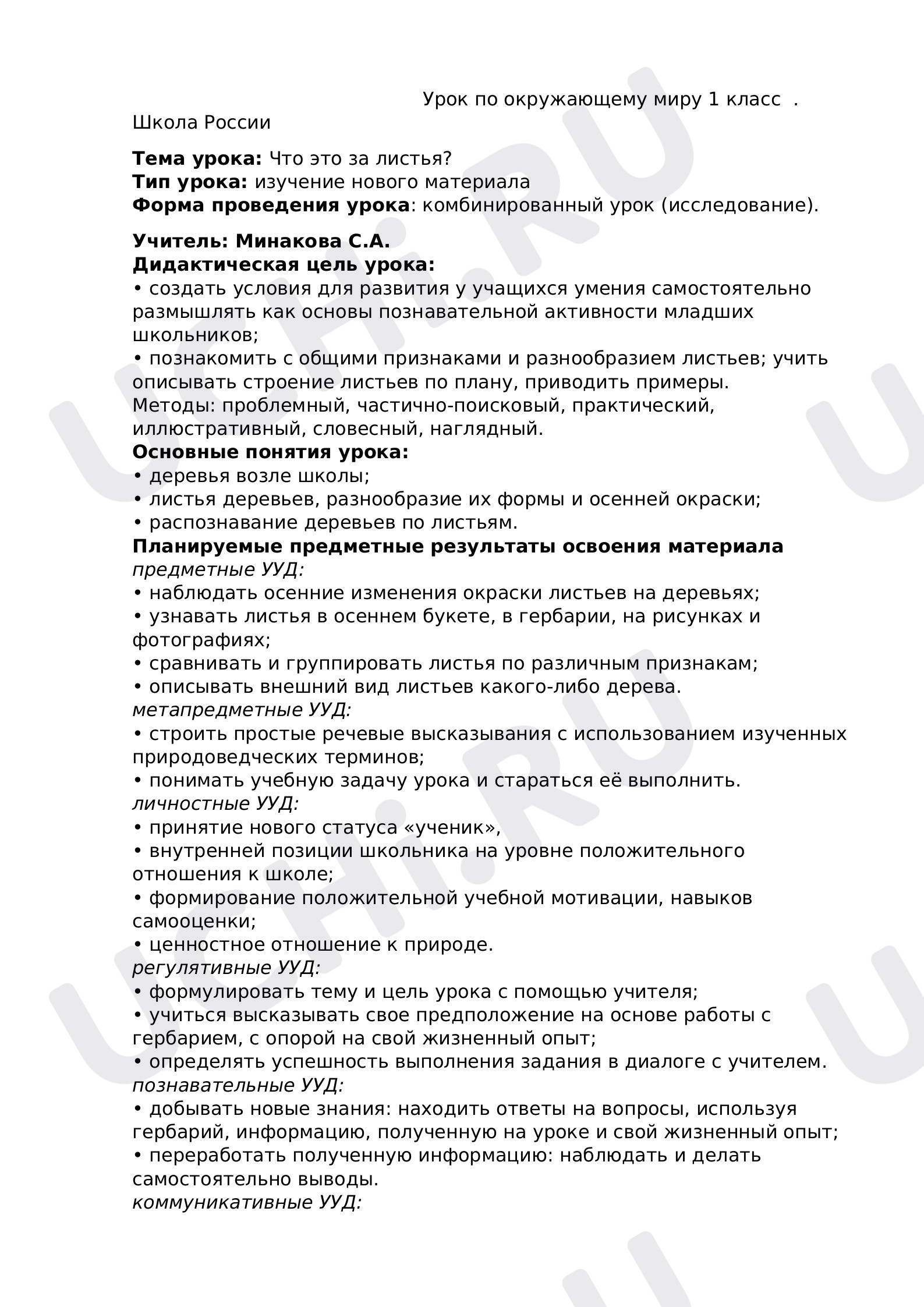 Предпросмотр материала Что это за листья