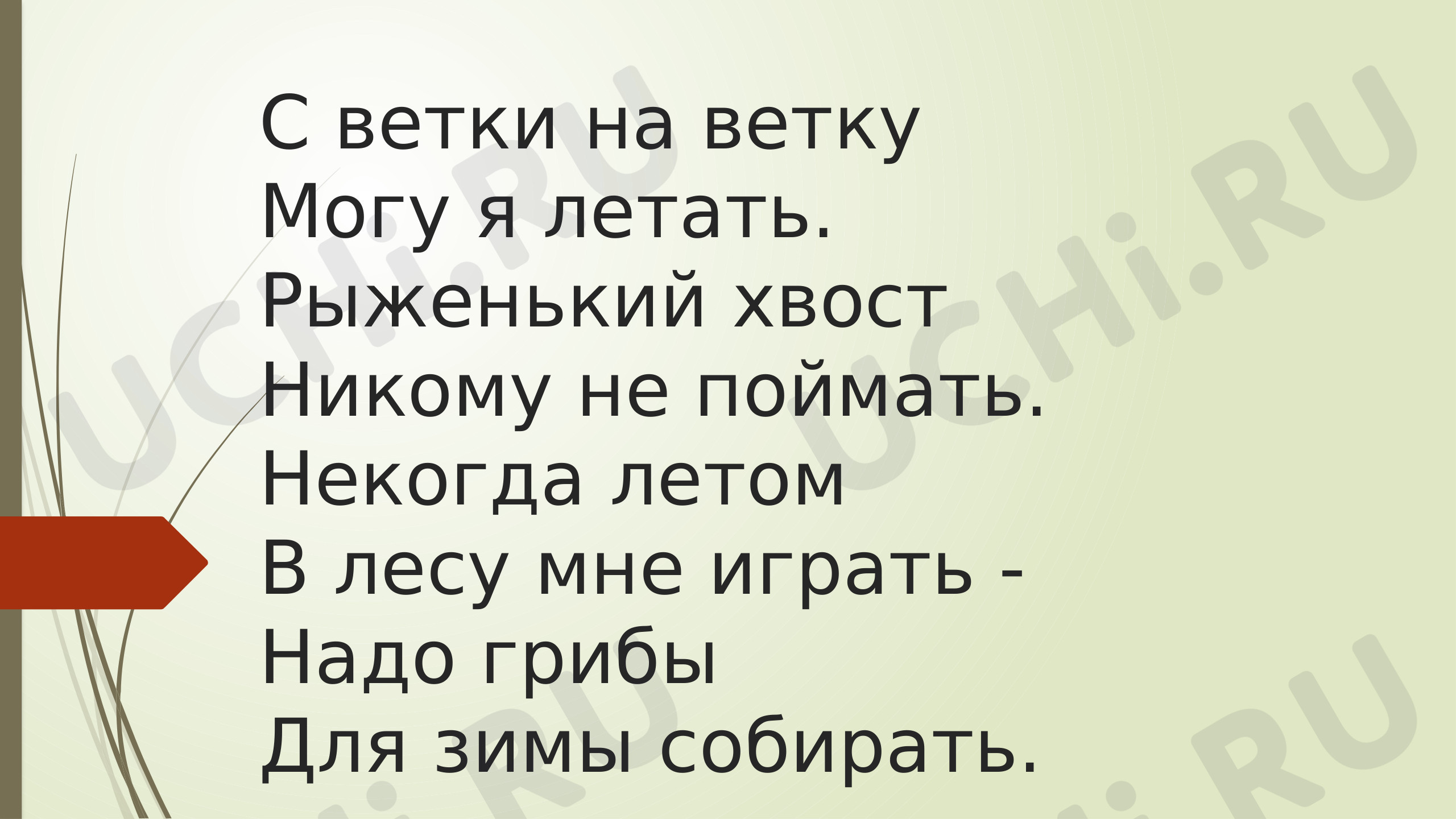 Предпросмотр материала Презентация. Поэтапное рисование рисунка «Белка».