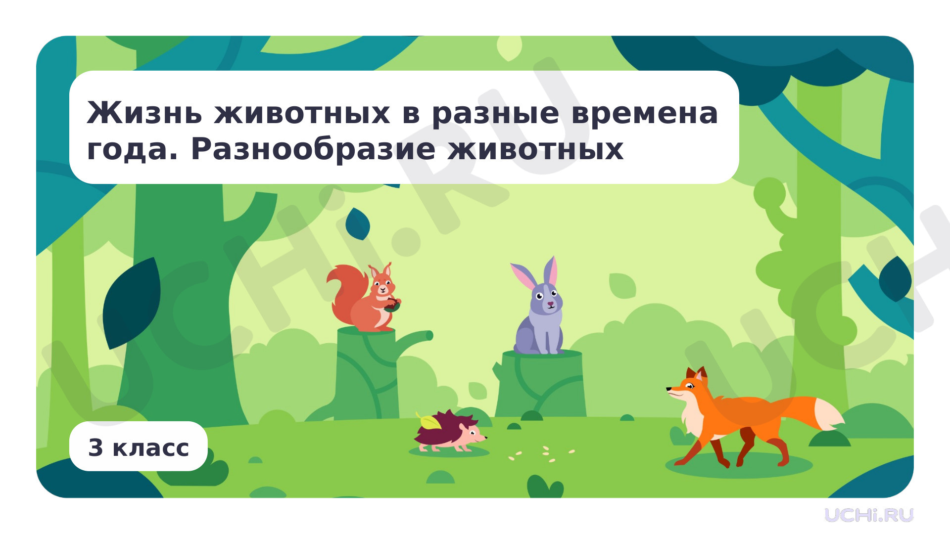 📈 Презентация по теме “Жизнь животных в разные времена года ...