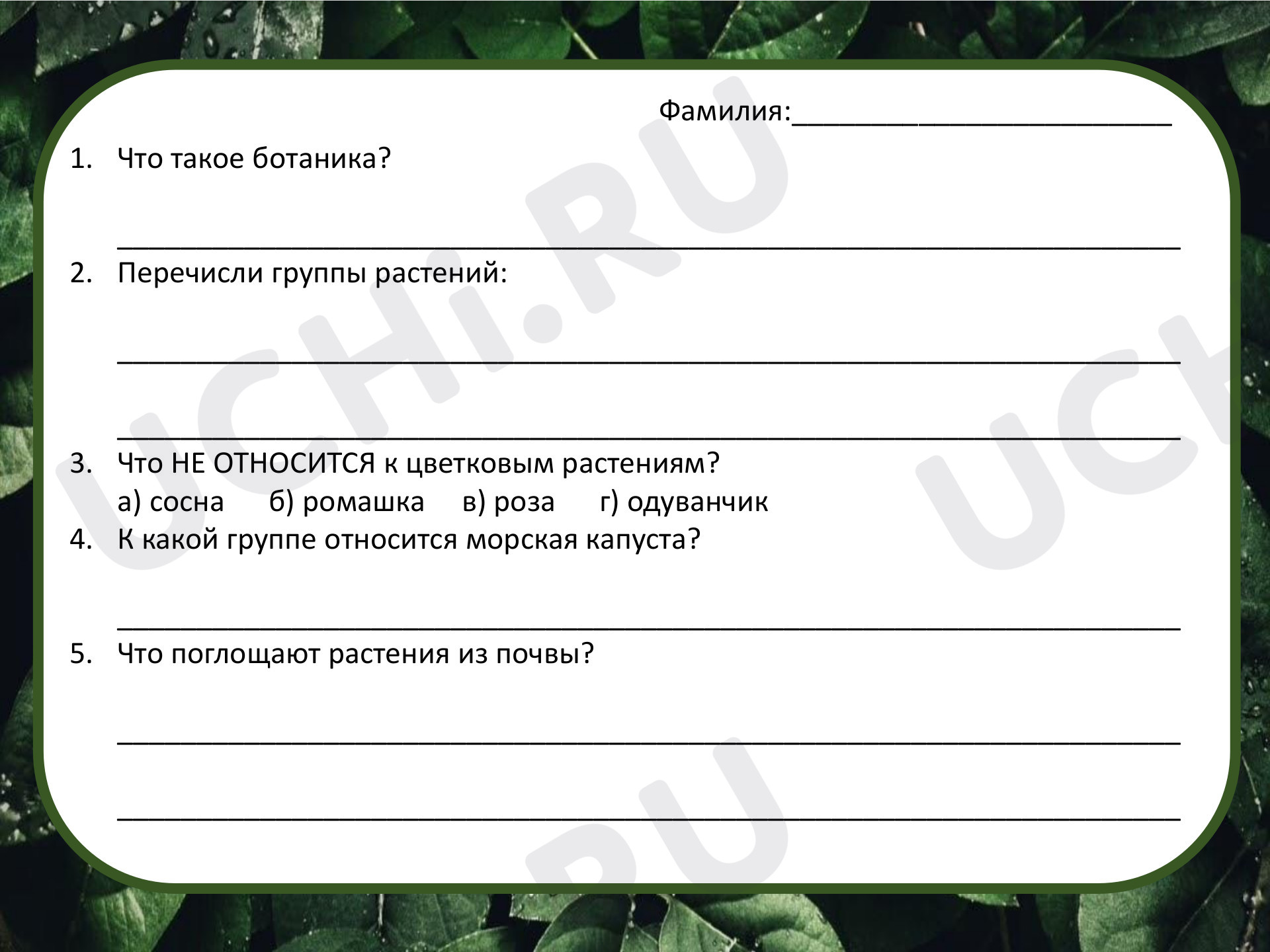 Предпросмотр материала Проверочная работа к уроку окружающего мира по теме "Разнообразие растений"