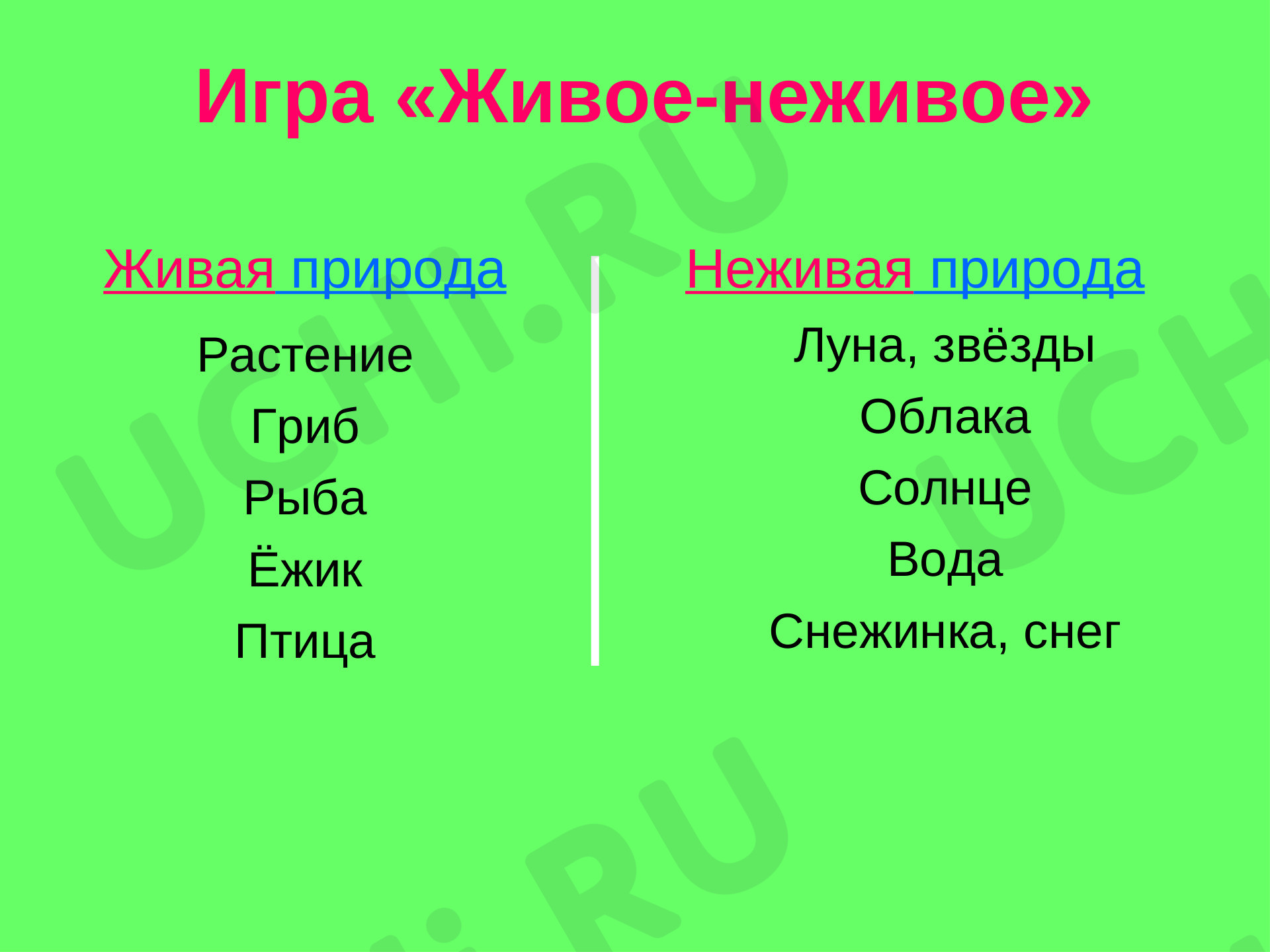 Живая и неживая природа: Объекты живой природы. Сравнение объектов неживой  и живой природы: выделение различий | Учи.ру