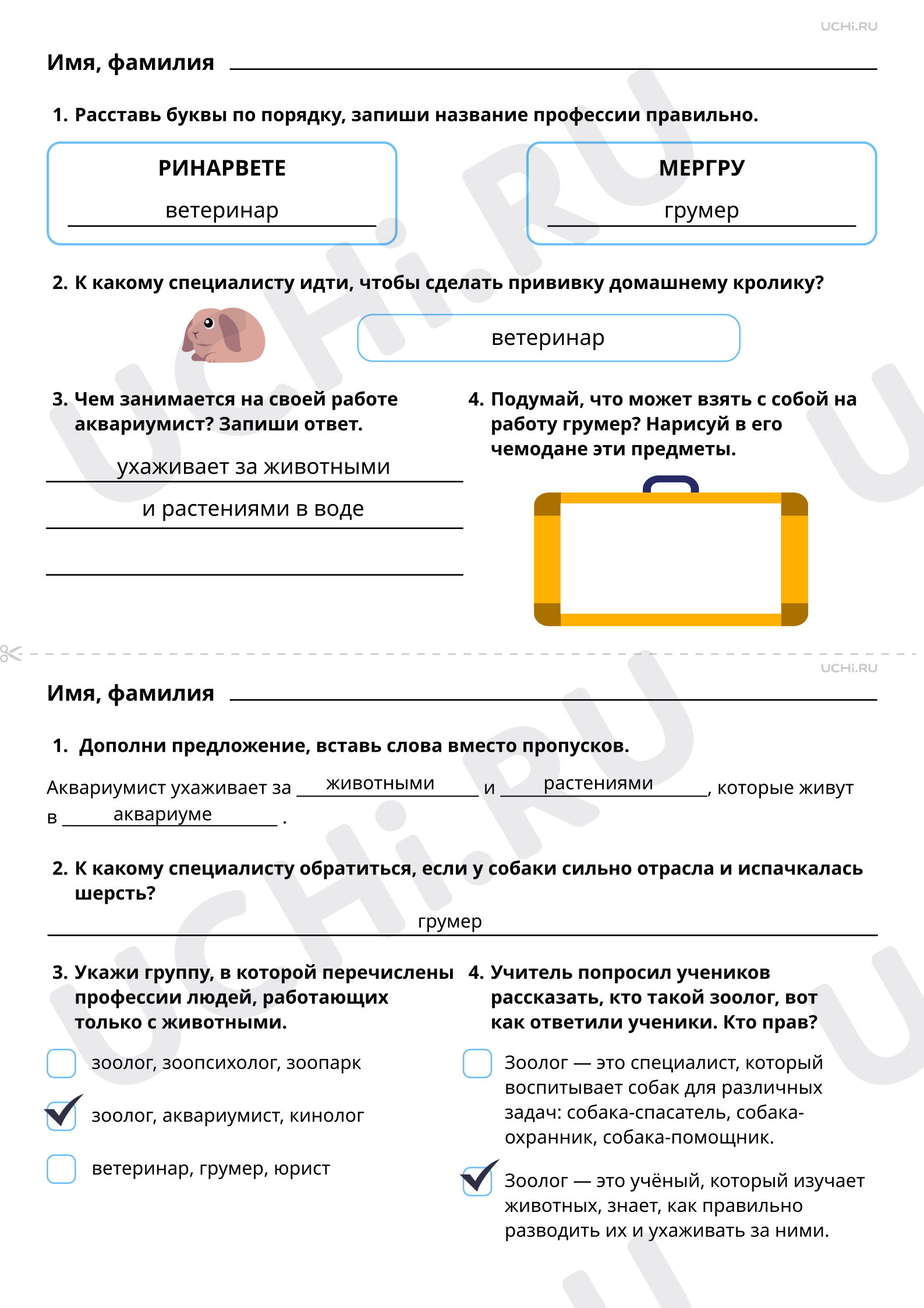 Предпросмотр материала Кто заботится о домашних животных? Ответы к рабочим листам