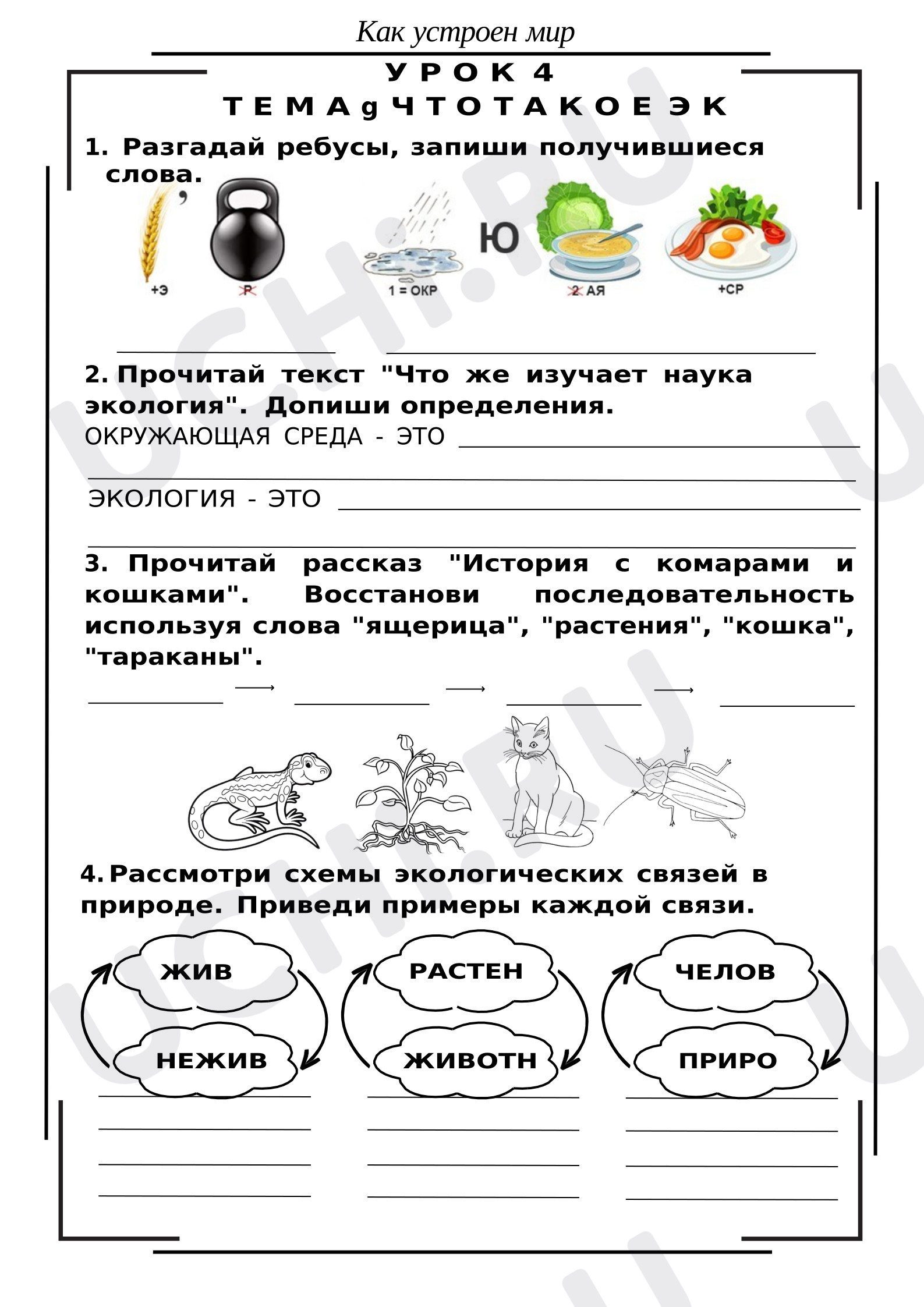 Предпросмотр материала Рабочие листы к уроку окружающего мира. Экология.