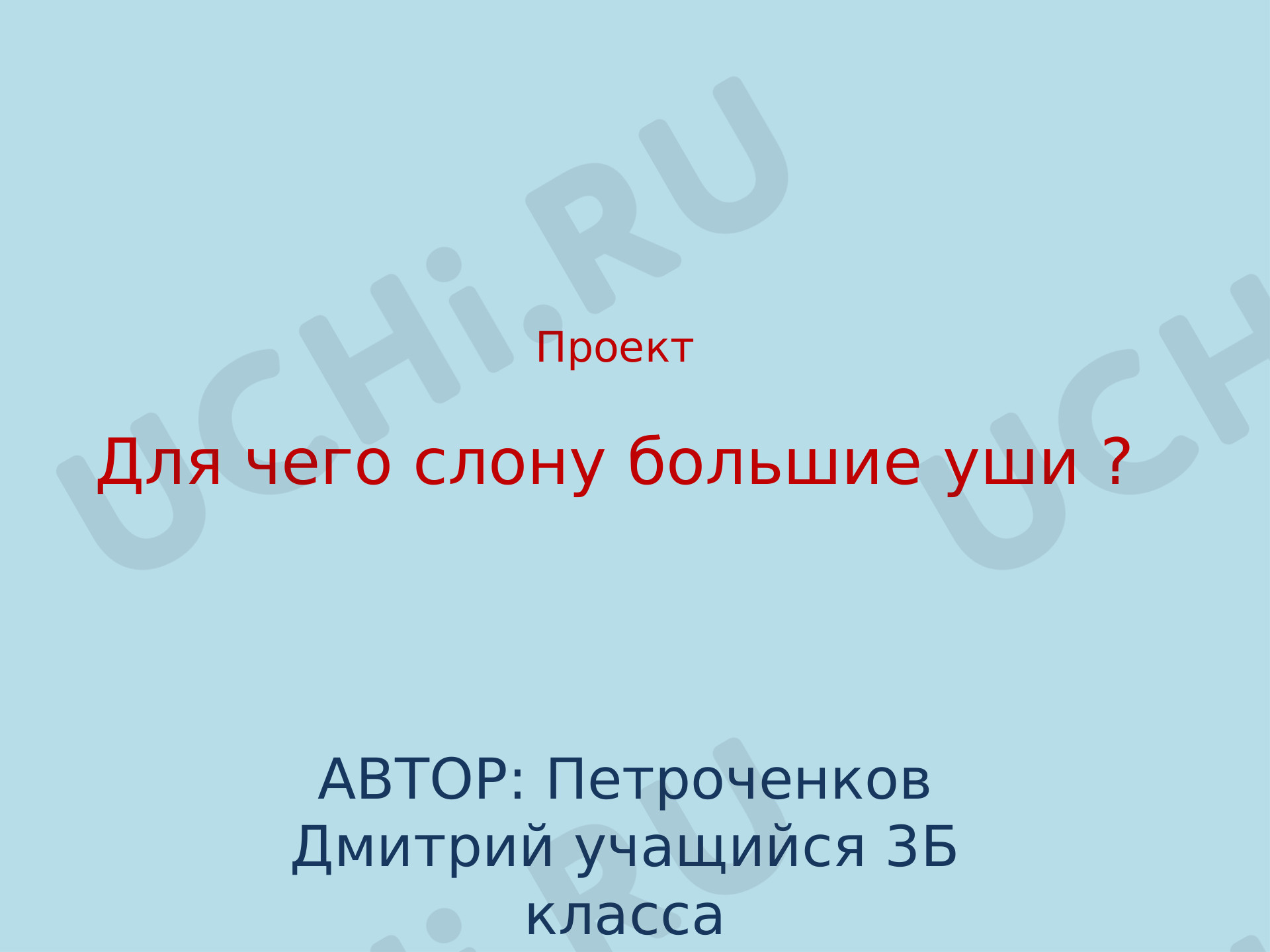Предпросмотр материала Дикие животные. Для чего слону большие уши