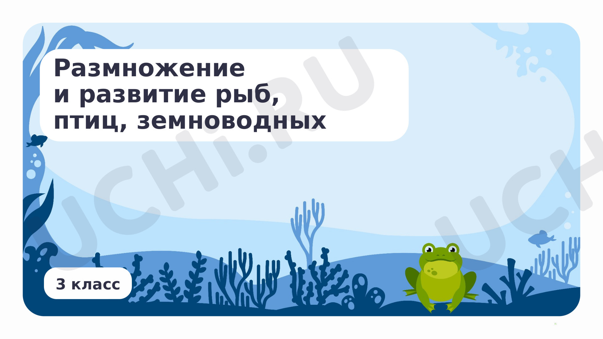 Предпросмотр материала Размножение и развитие рыб, птиц, зверей