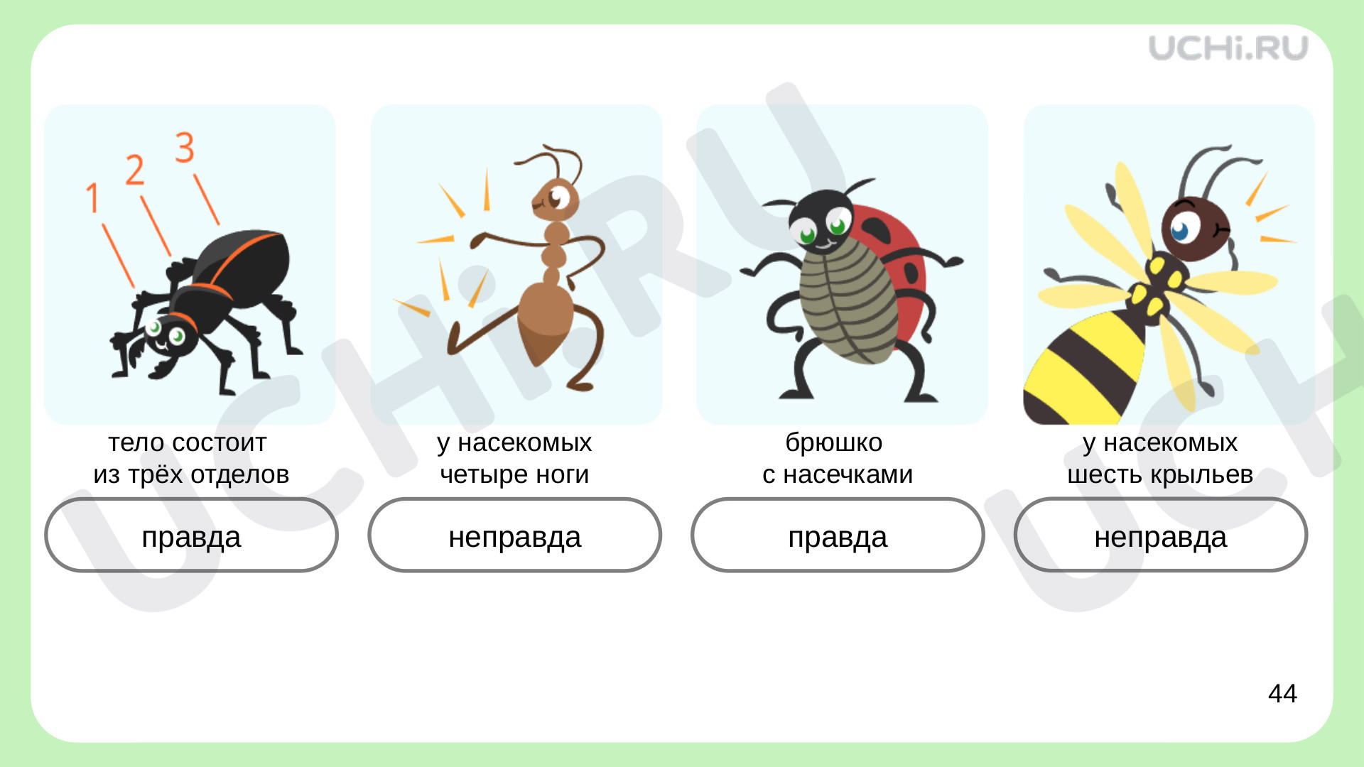 Материалы для урока по теме Кто такие насекомые?, Окружающий мир, 1 класс