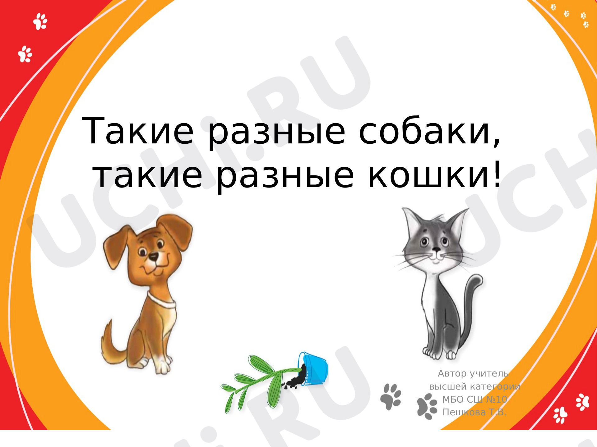 Предпросмотр материала Такие разные собаки и кошки