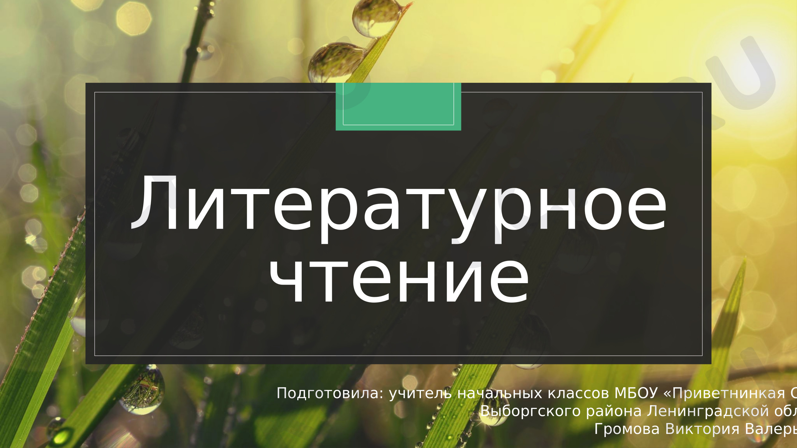Предпросмотр материала Презентация к уроку литературного чтения Н.Н. Носов «Живая шляпа»
