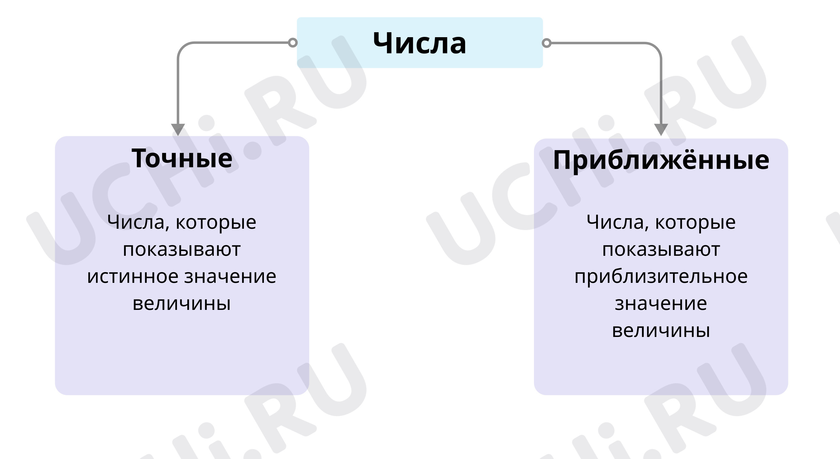 Предпросмотр материала Точное и приближённое значение величин