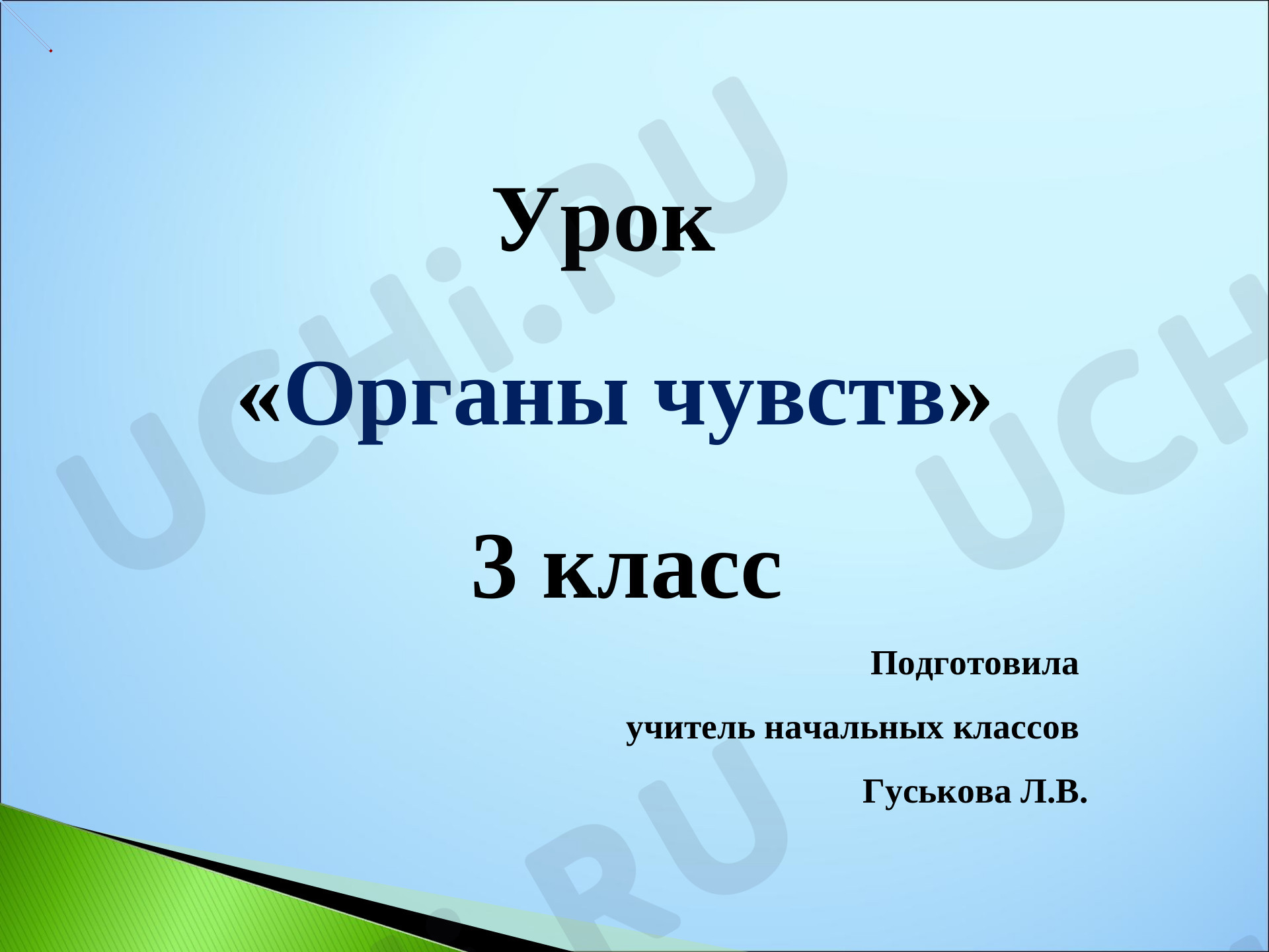 Окружающий мир, 3 класс, "Органы чувств".ppt