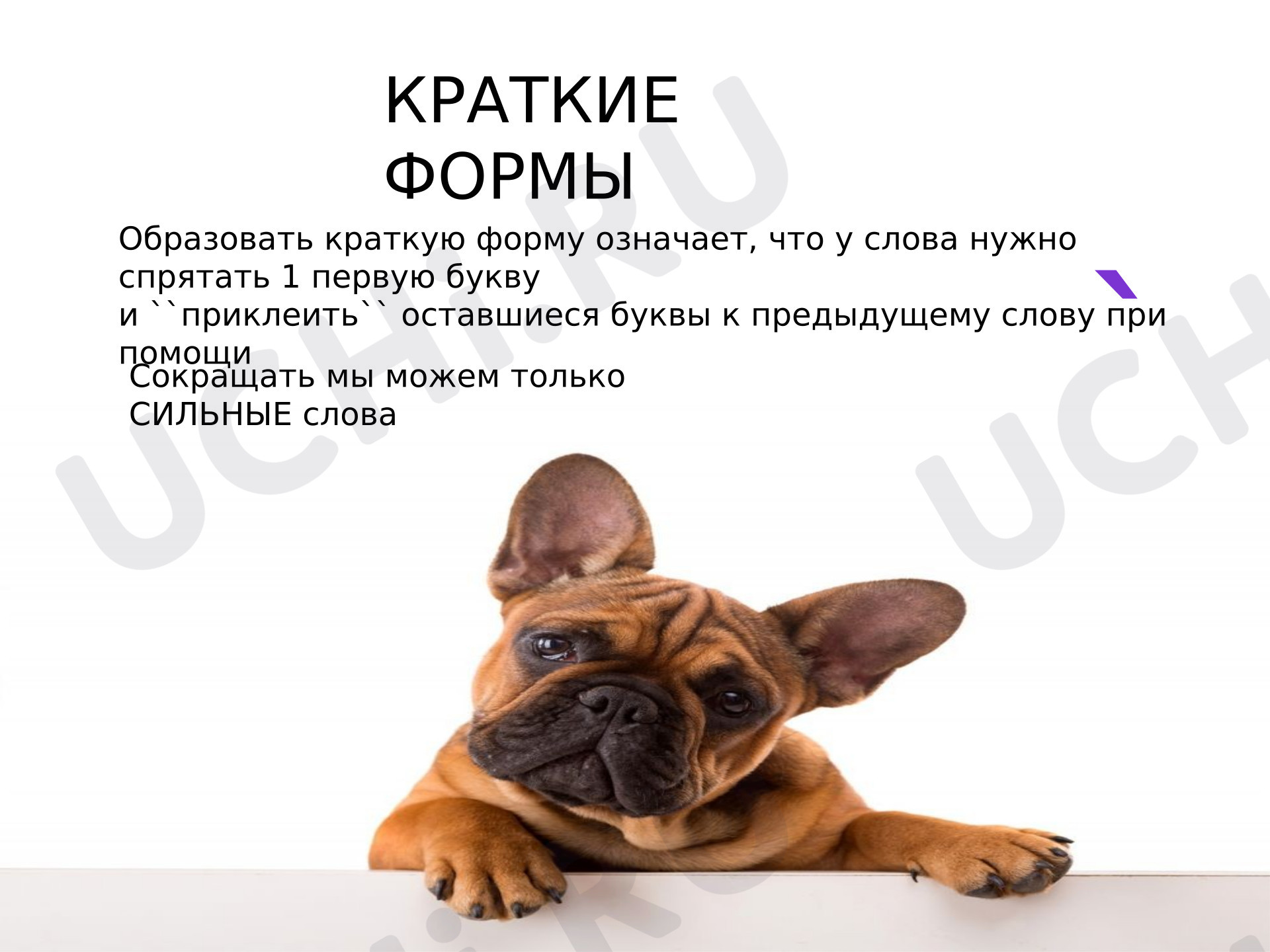 Предпросмотр материала Презентация к уроку английского языка. Краткая форма глагола to be настоящего времени