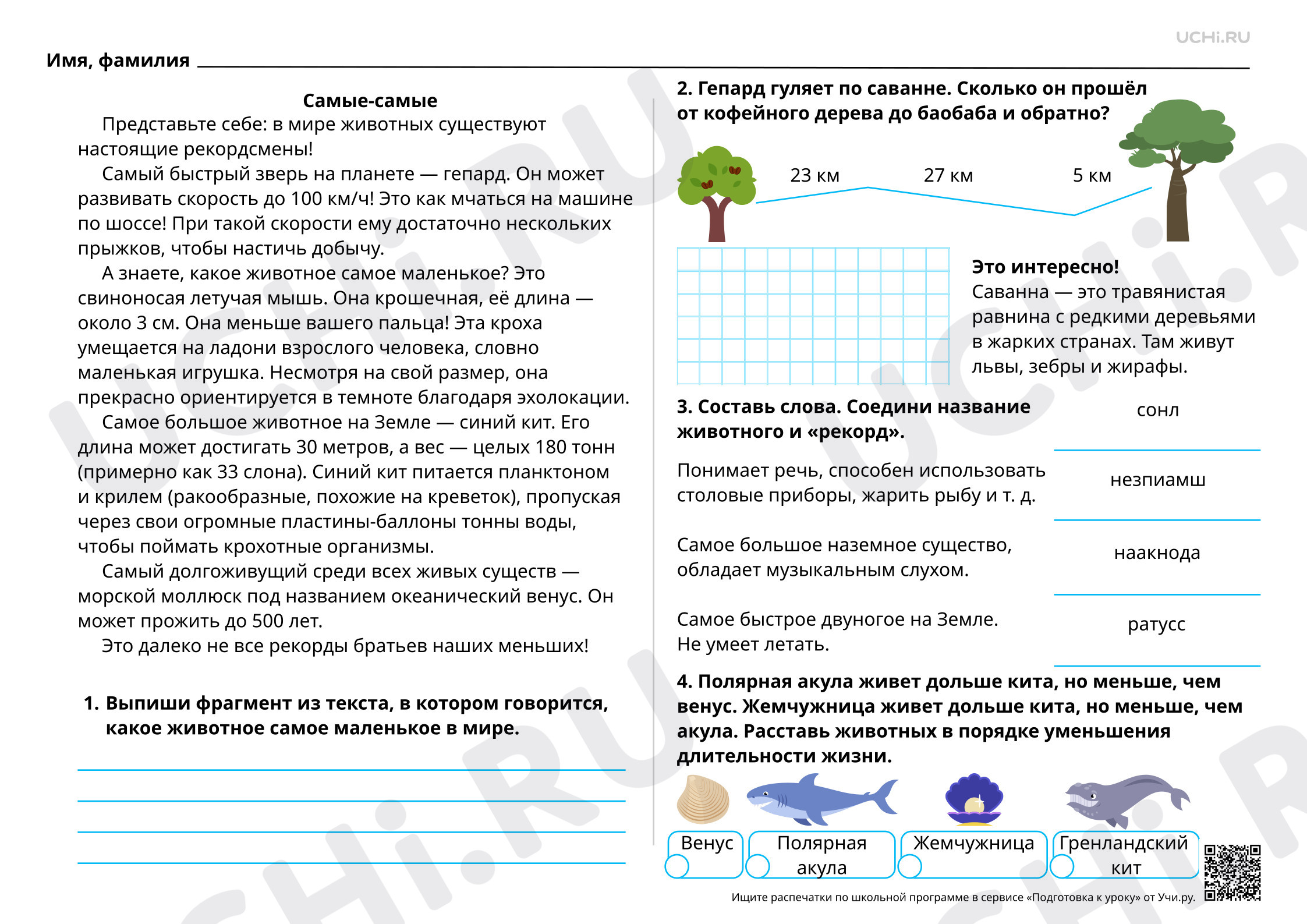 Предпросмотр материала Самые-самые