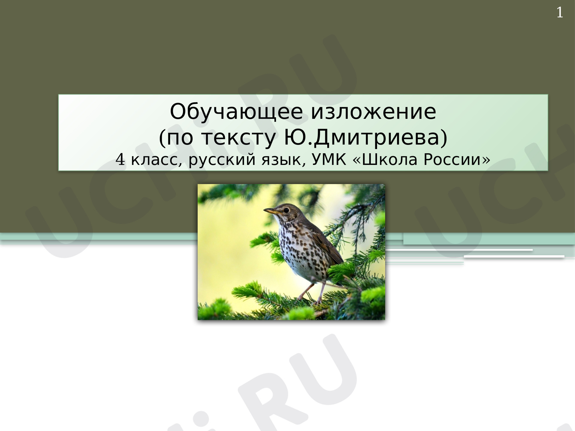 Предпросмотр материала Презентация к уроку русского языка.Изложение «Дрозд».