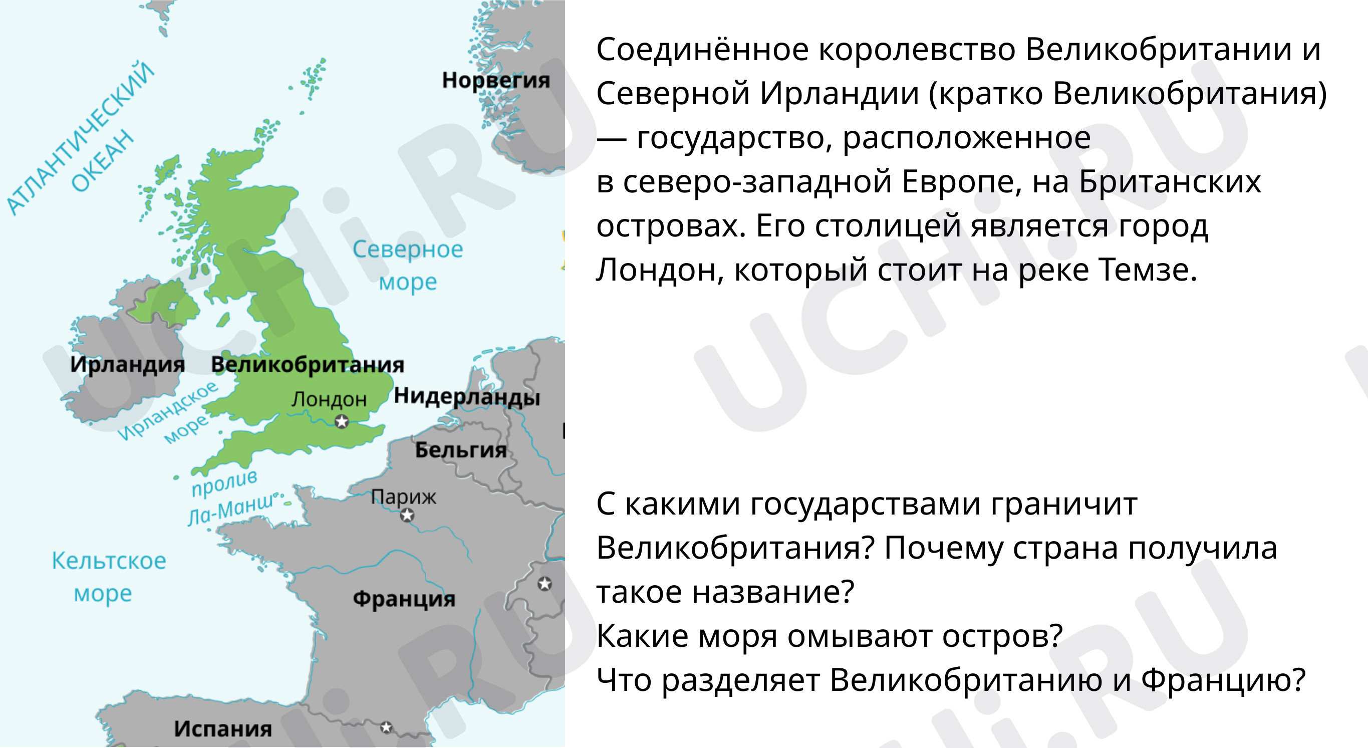 Общество, окружающий мир 3 класс | Подготовка к уроку от Учи.ру