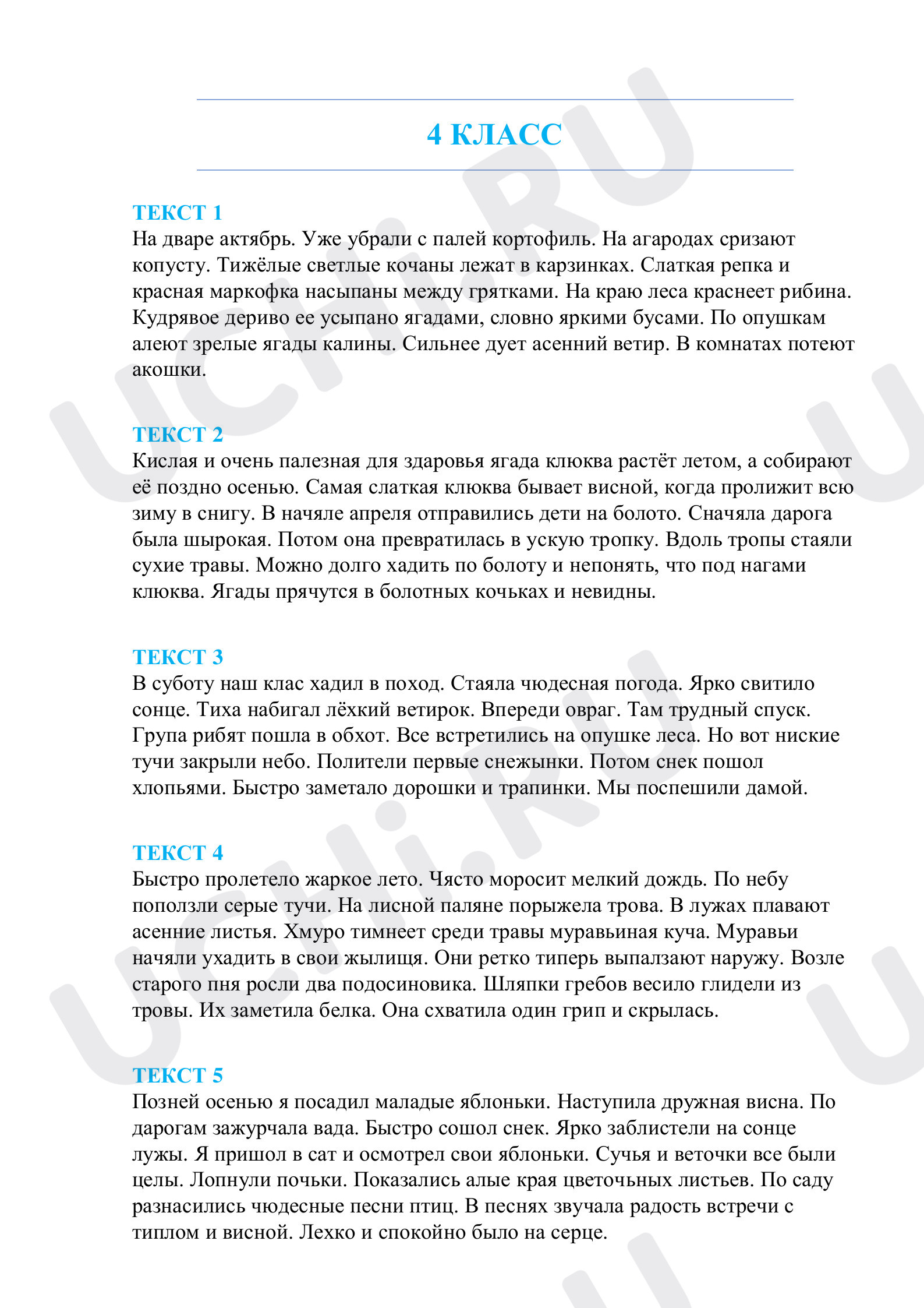 Предпросмотр материала Развитие орфографической зоркости. Тексты