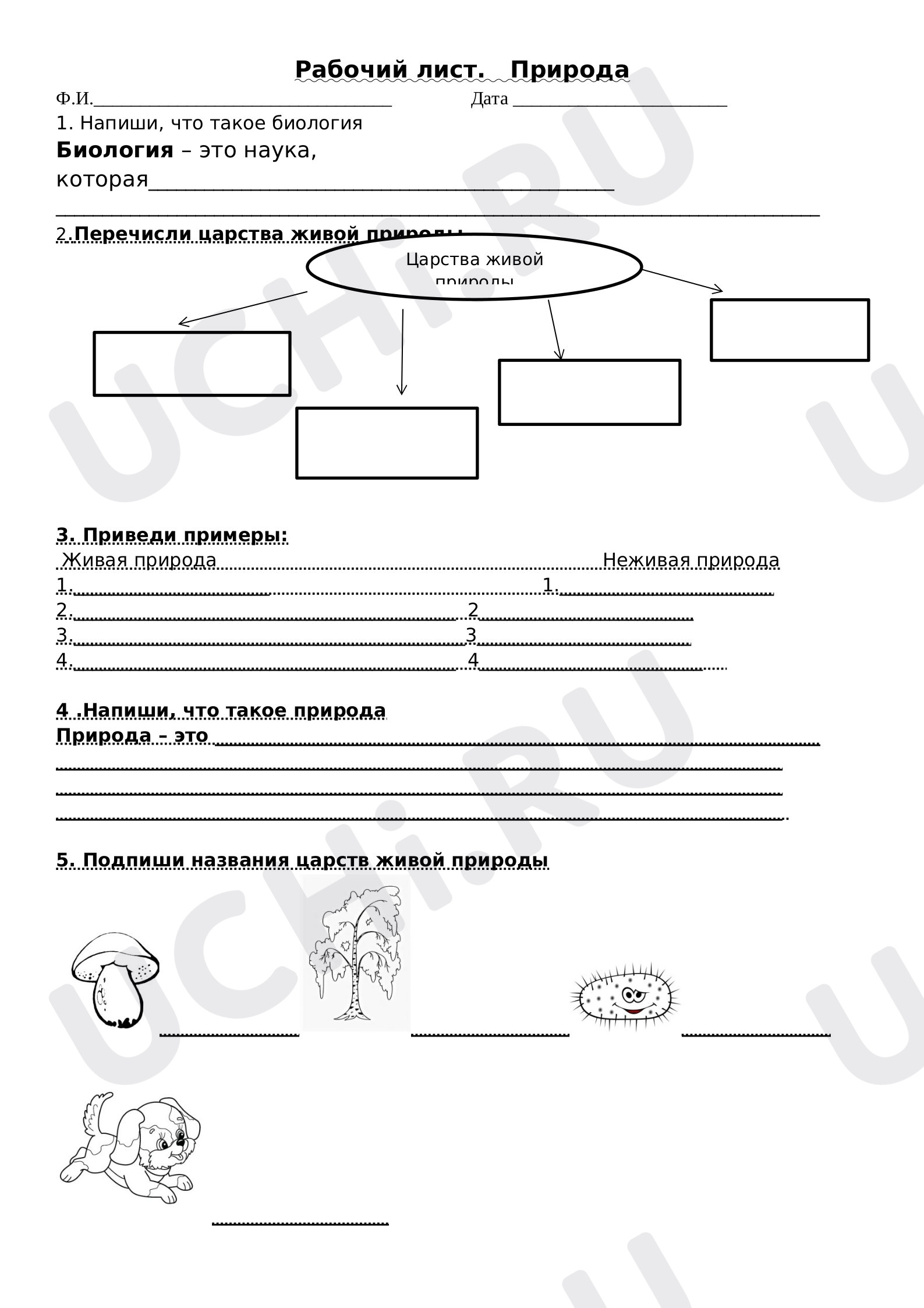 Предпросмотр материала Живая и неживая природа