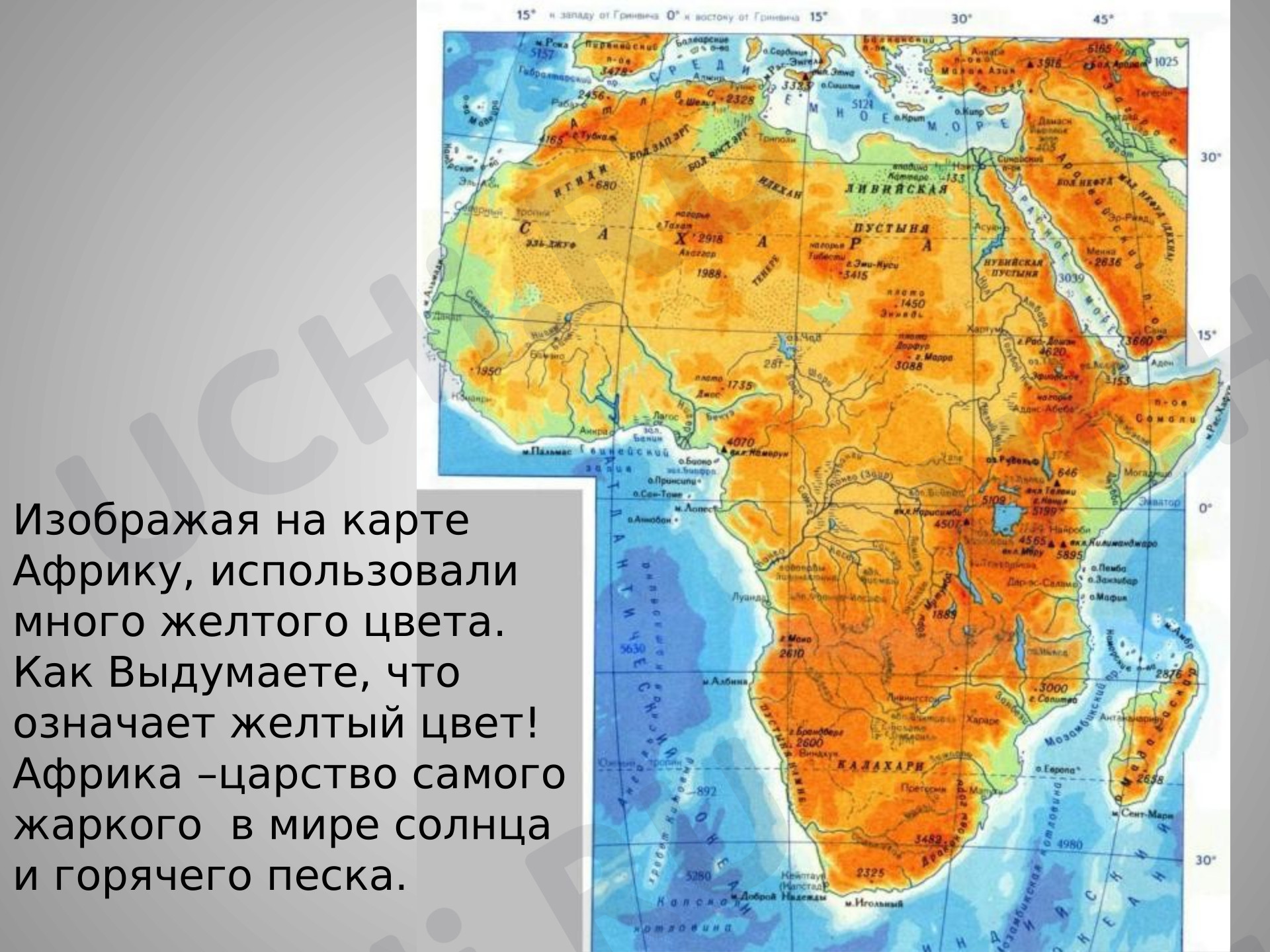 Предпросмотр материала Презентация к уроку окружающего мира. Путешествие в Африку. Животные.