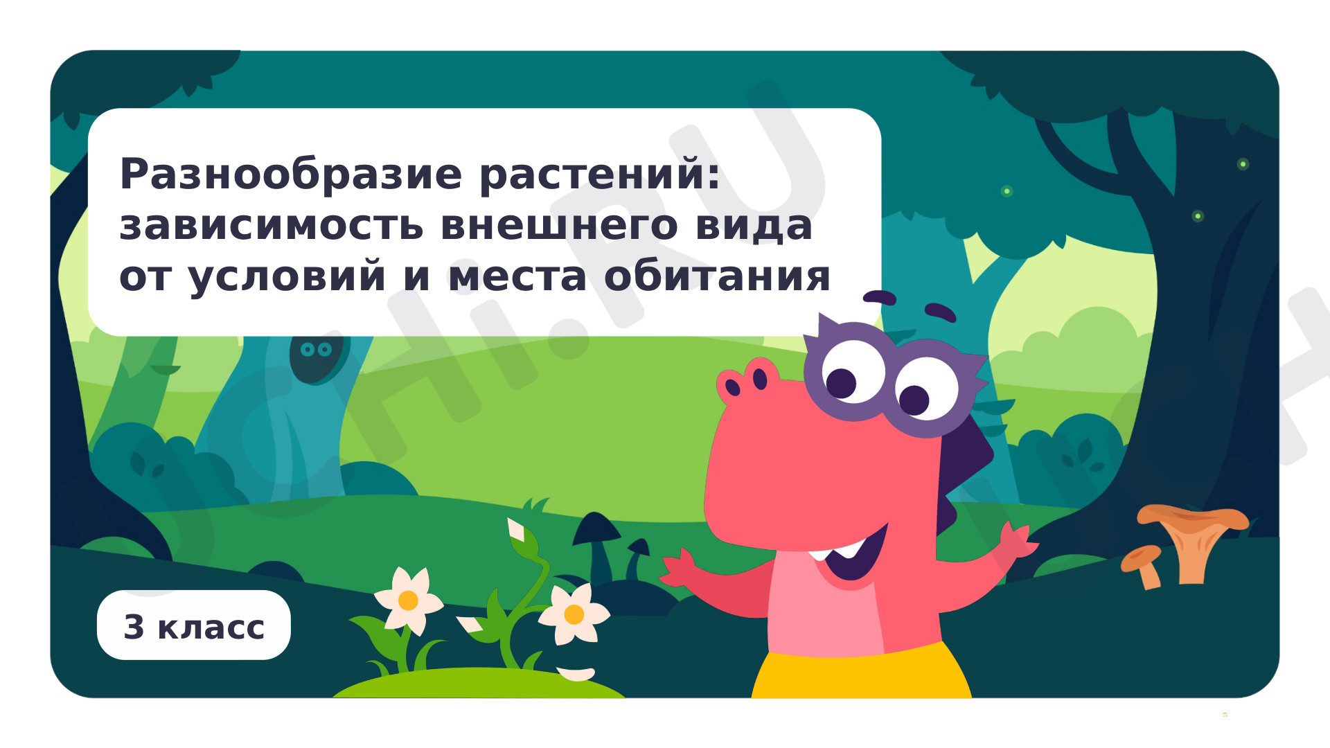 Предпросмотр материала Разнообразие растений: зависимость внешнего вида от условий и места обитания