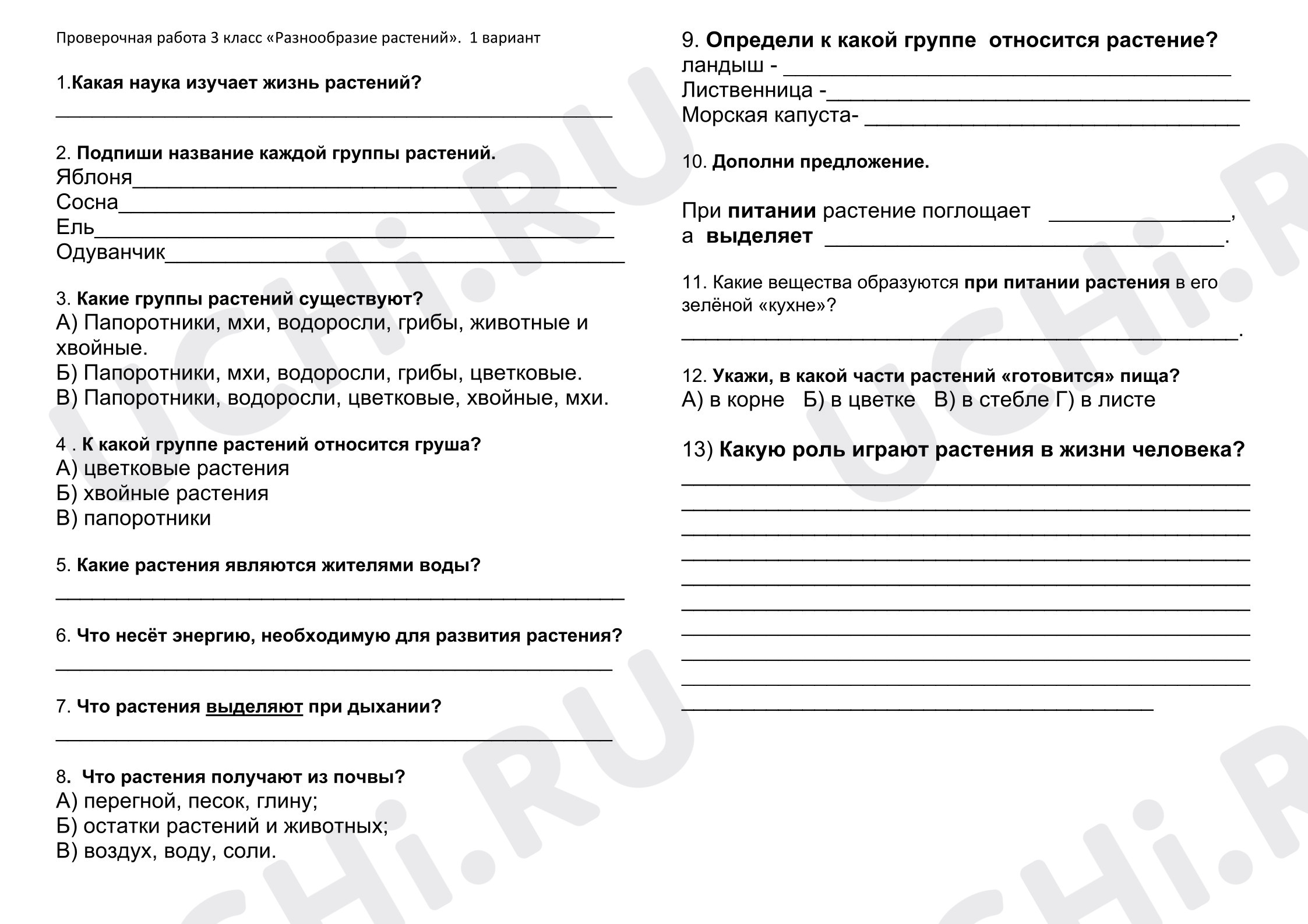Предпросмотр материала Проверочная работа к уроку окружающего мира. Разнообразие растений