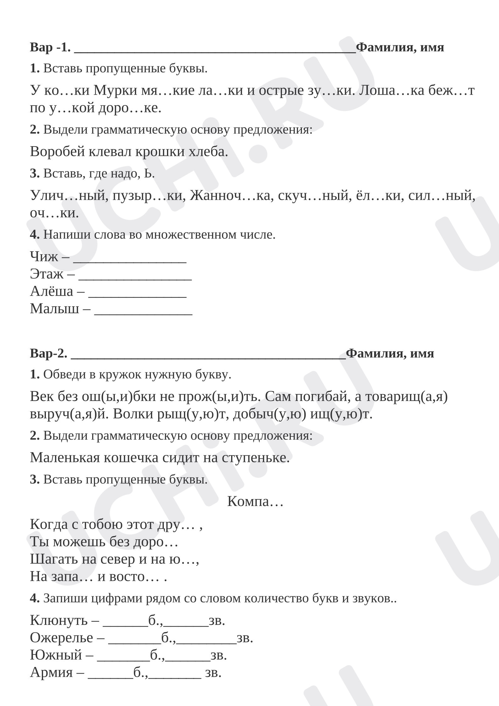 Предпросмотр материала Проверочная работа два варианта.