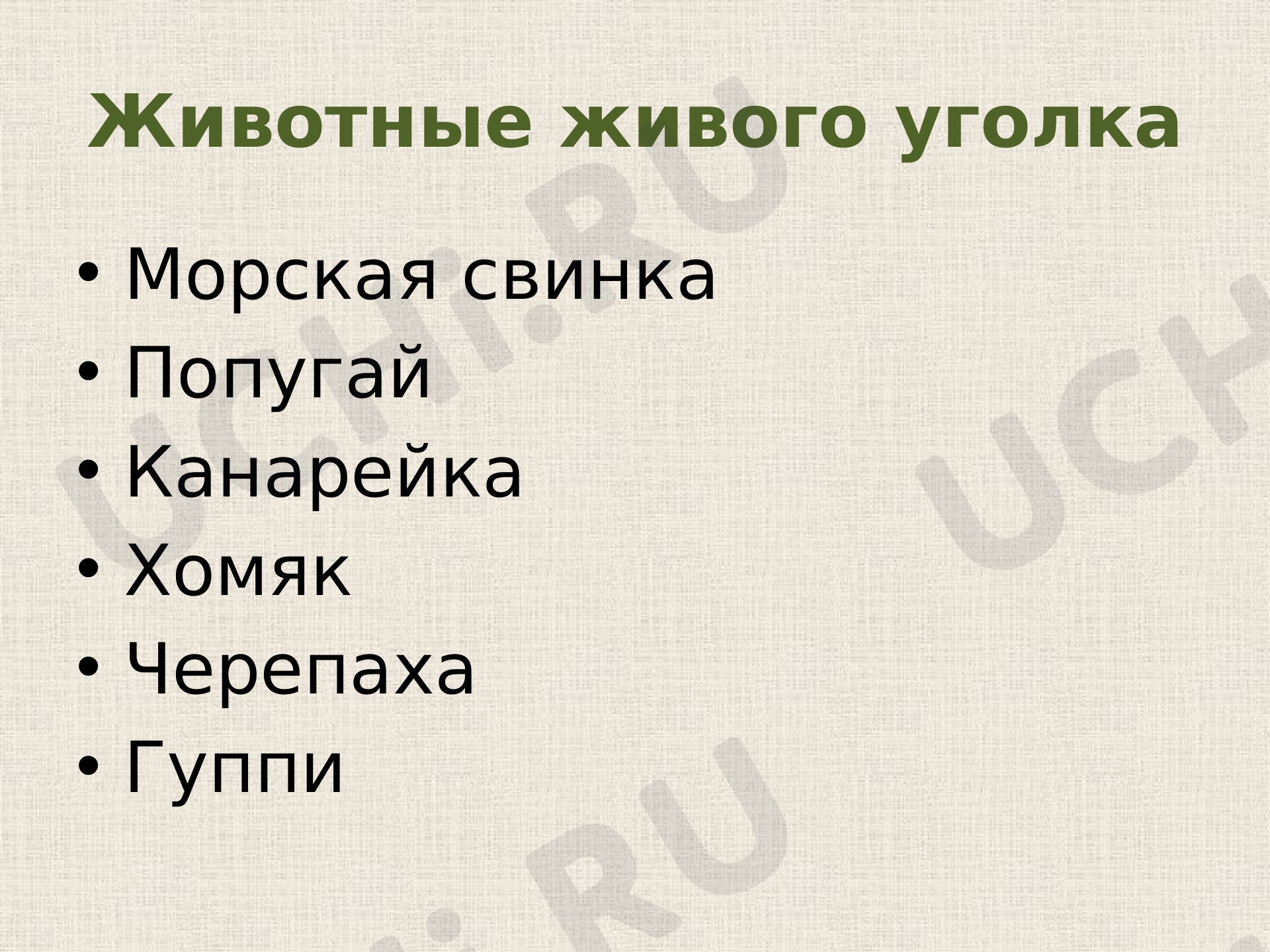 Предпросмотр материала Про кошек и собак