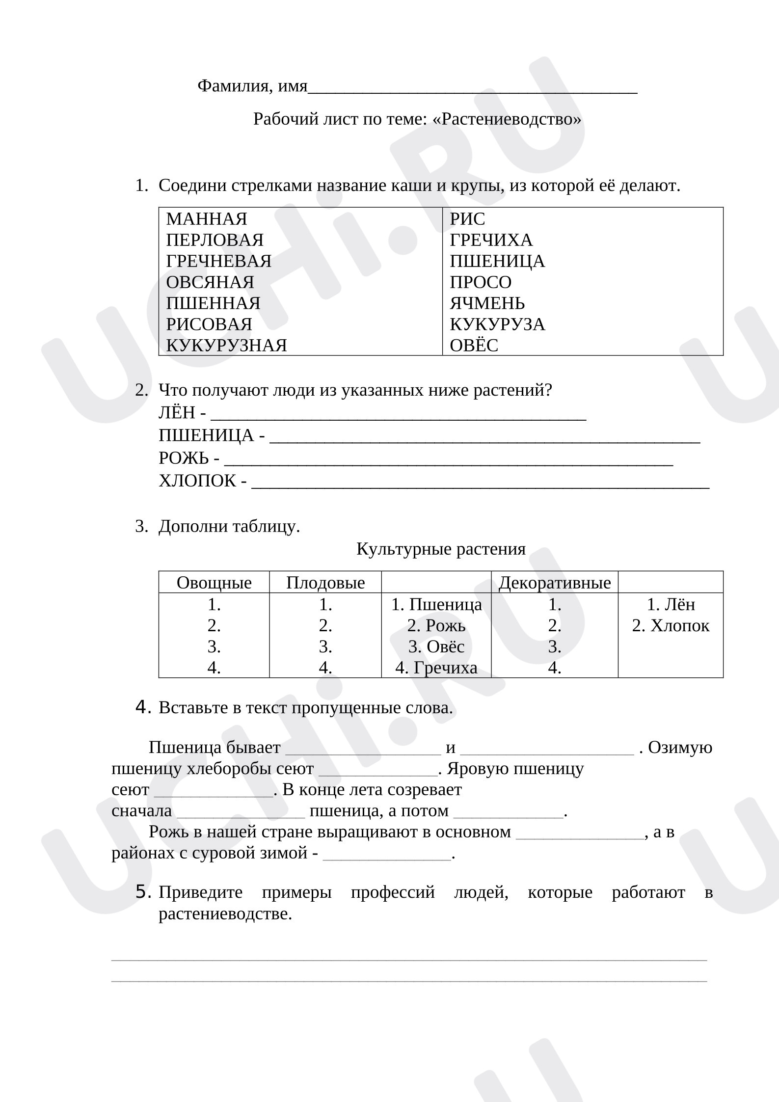 Предпросмотр материала Рабочие листы к уроку окружающего мира. Растениеводство