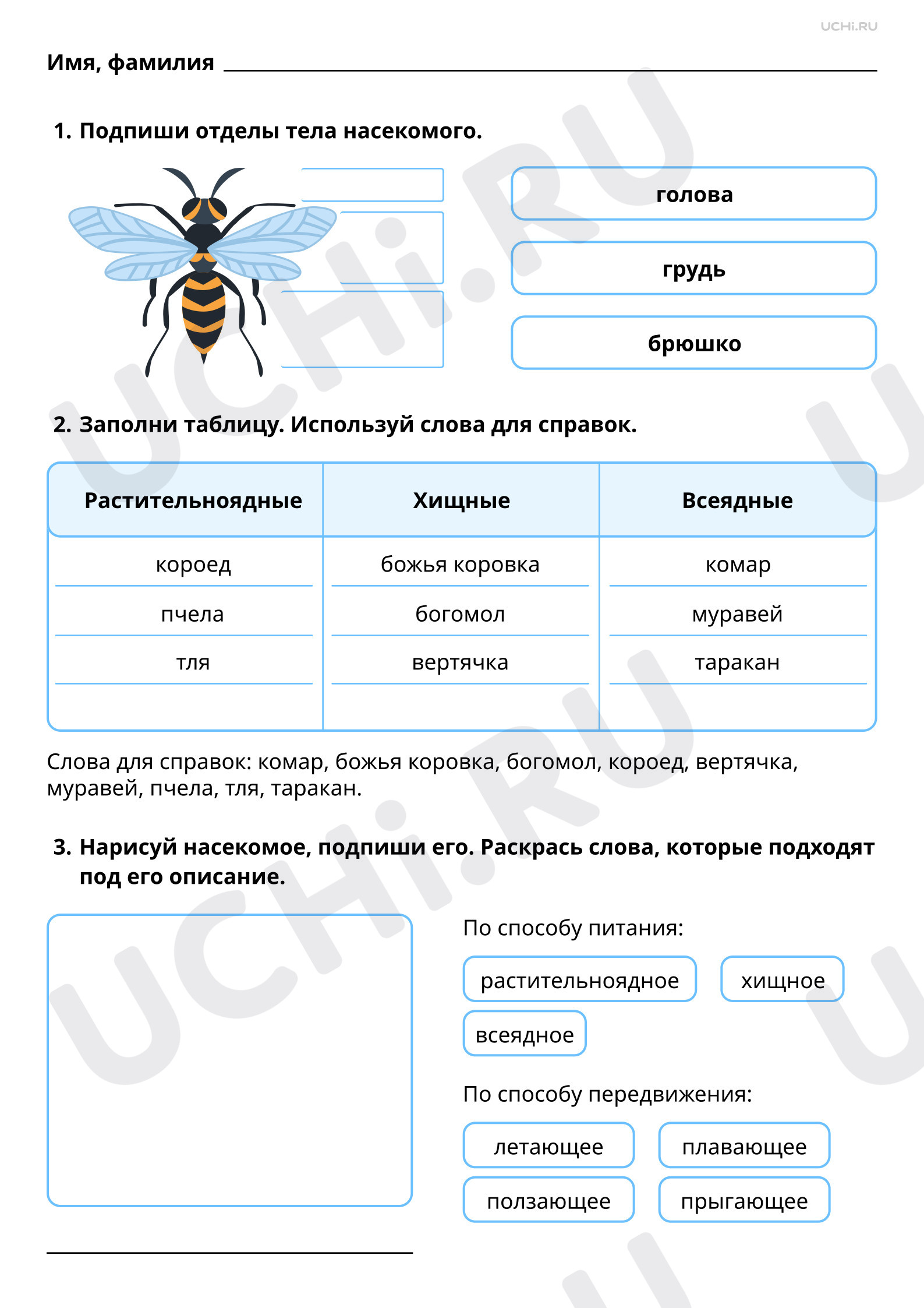 Предпросмотр материала Мир животных: насекомые. Ответы
