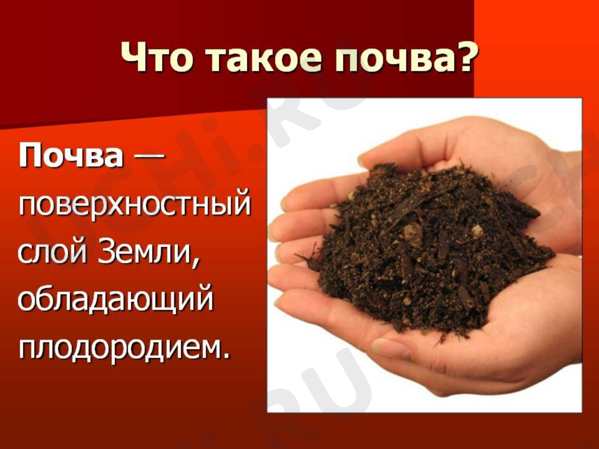 Предпросмотр материала Презентация к уроку окружающего мира по теме: Мир растений