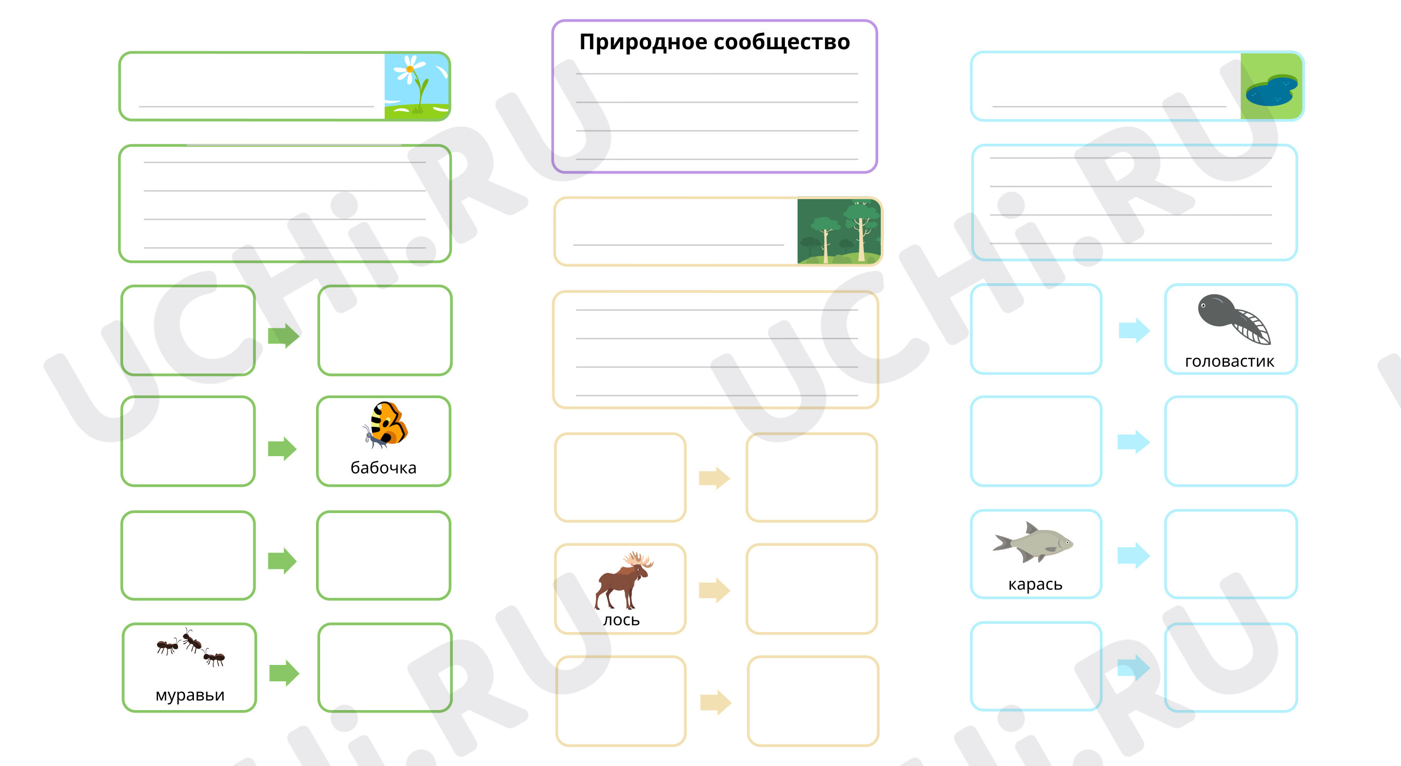 Предпросмотр материала Вариант заполнения интеллект-карты